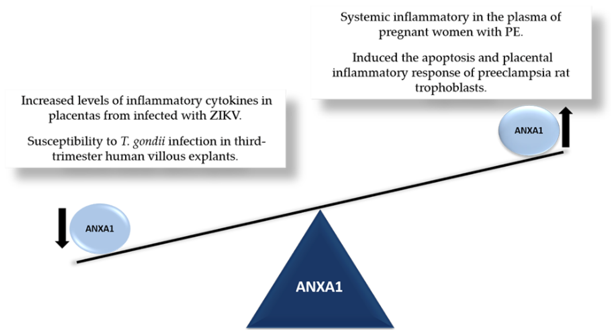 Cells 11 02057 g001 Cells 11 02057 g001