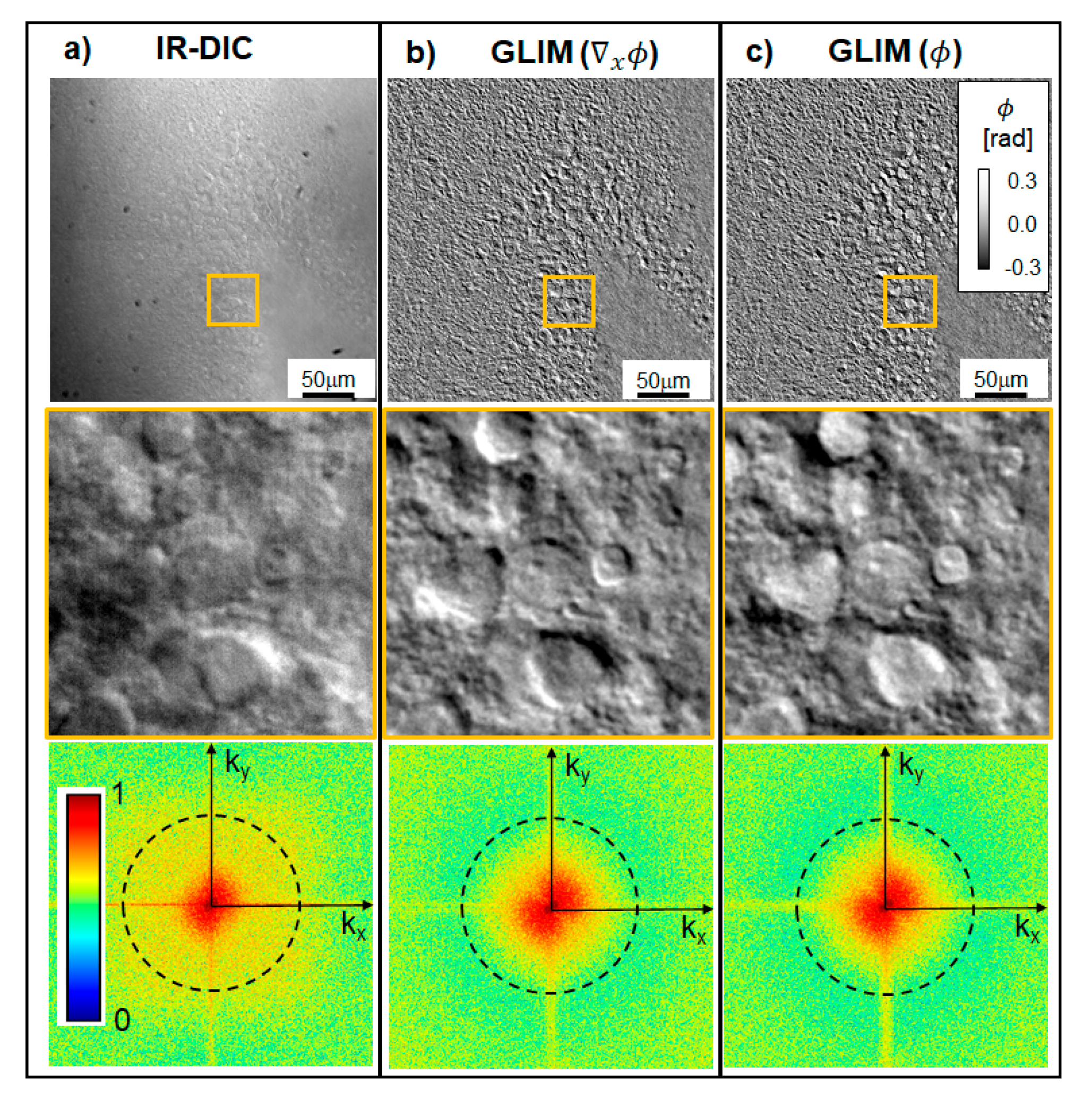 Cells 11 02073 g002 Cells 11 02073 g002