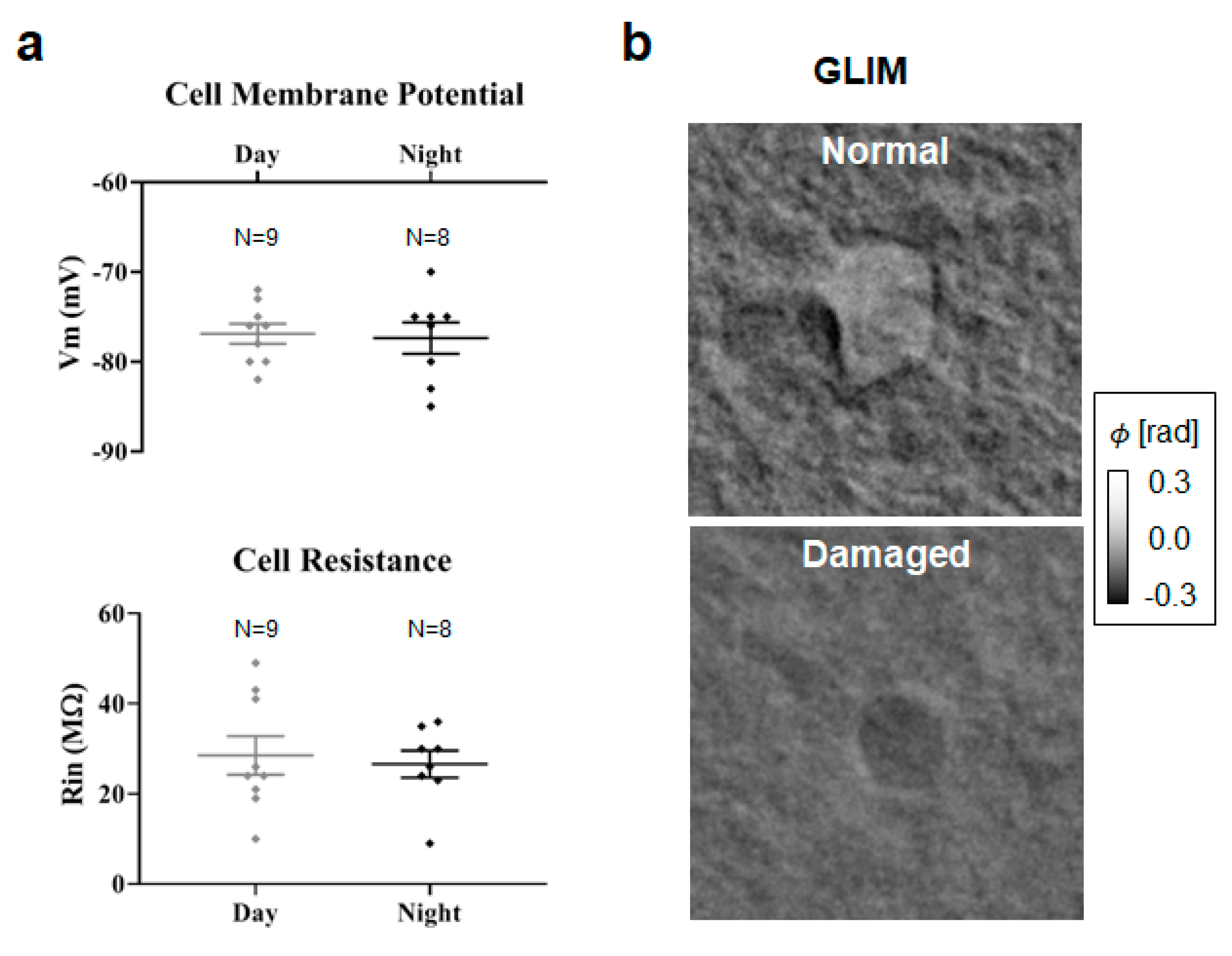 Cells 11 02073 g004 Cells 11 02073 g004