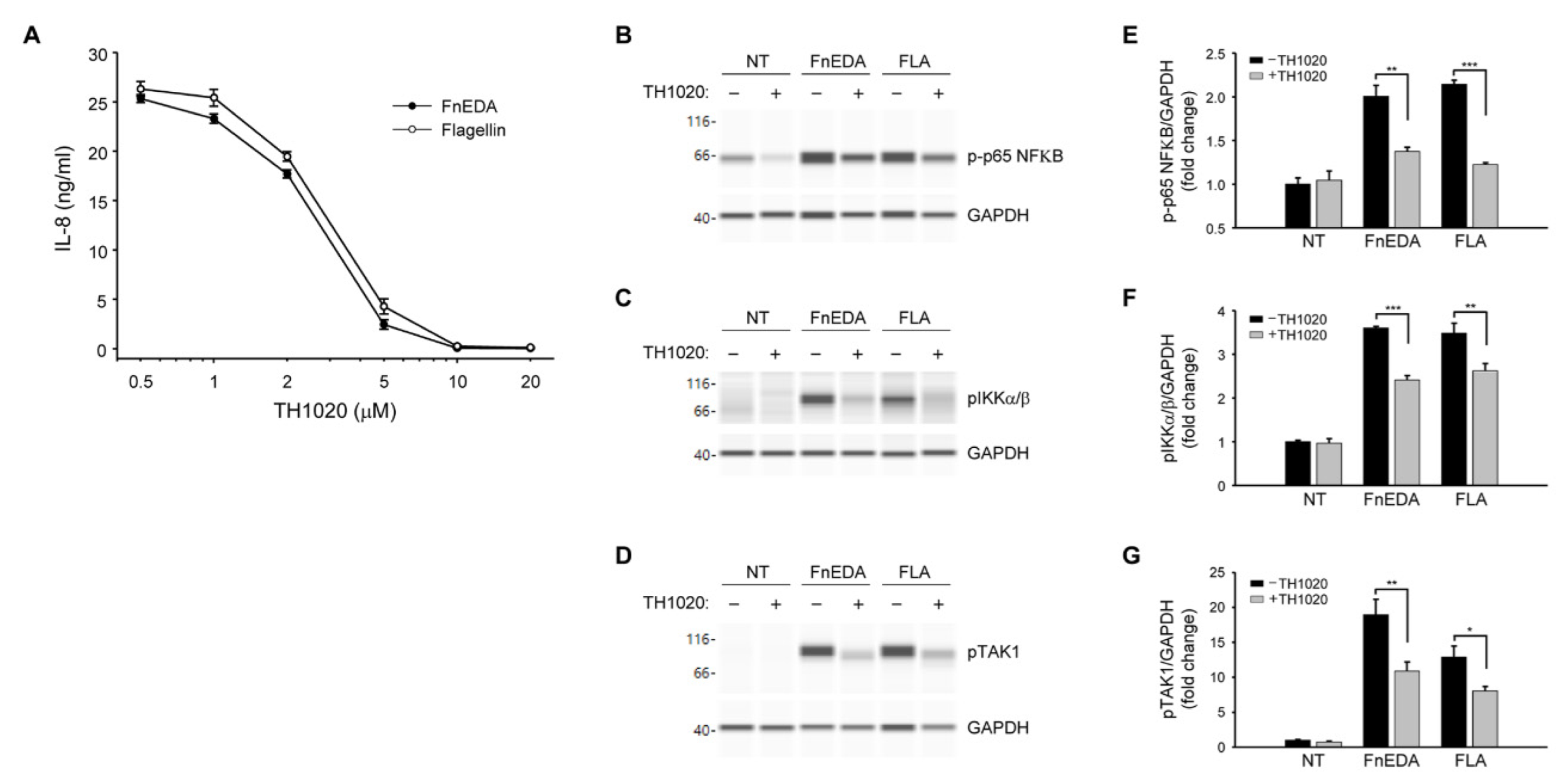 Cells 11 02074 g004 Cells 11 02074 g004