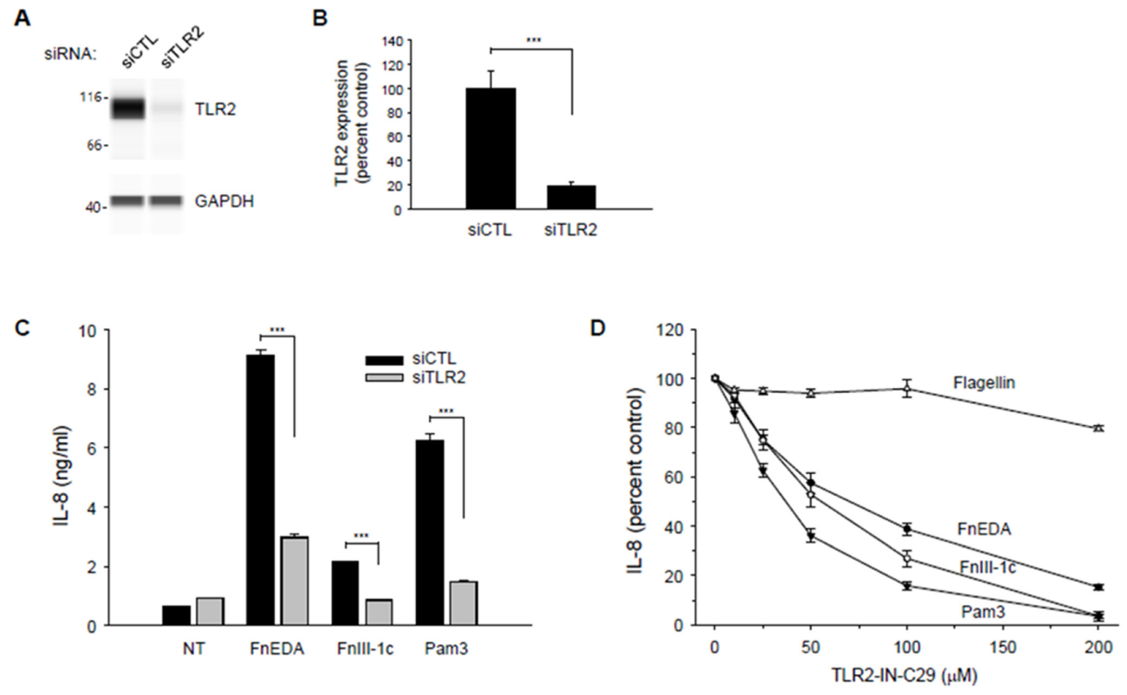 Cells 11 02074 g007 Cells 11 02074 g007