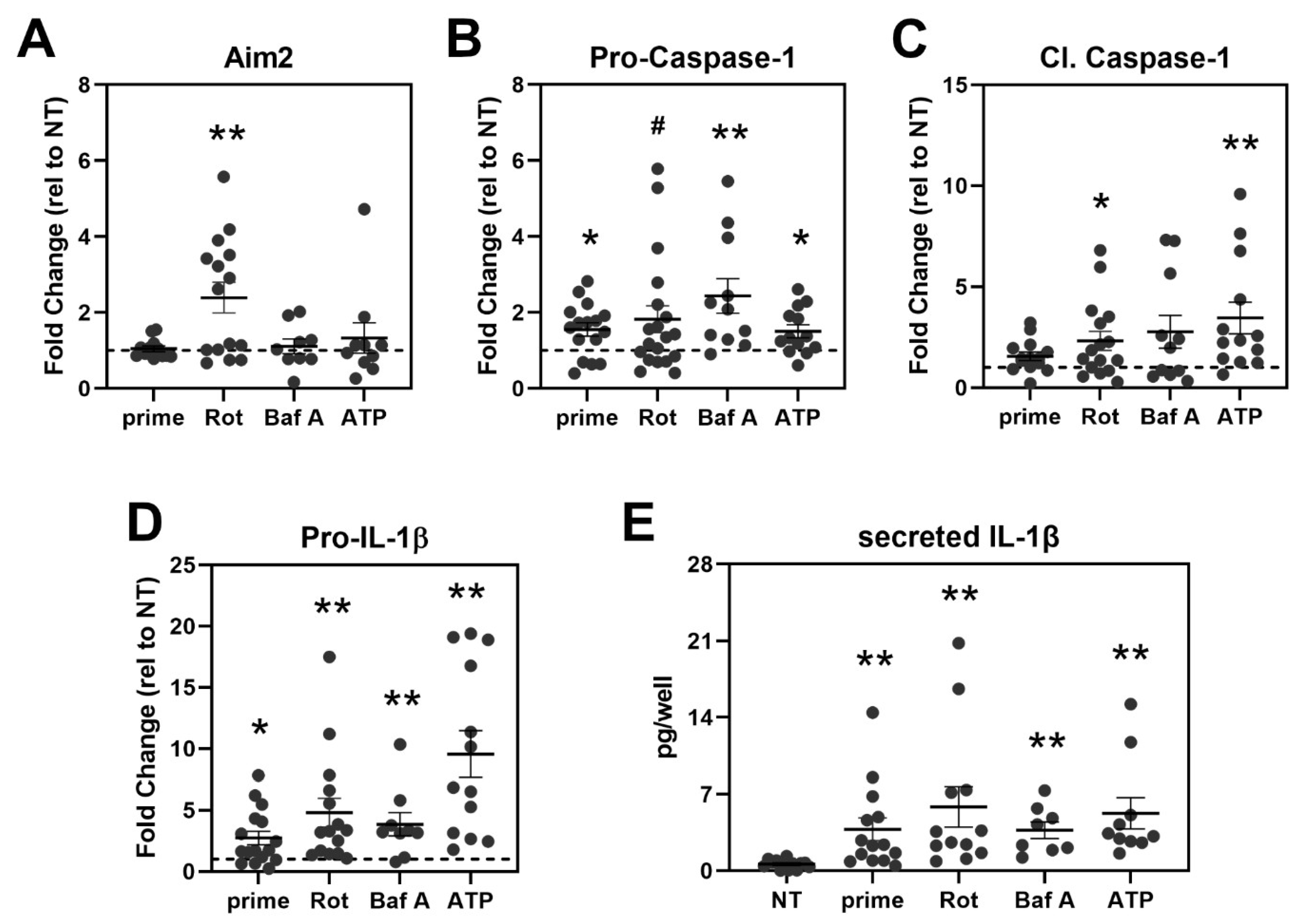 Cells 11 02075 g005 550