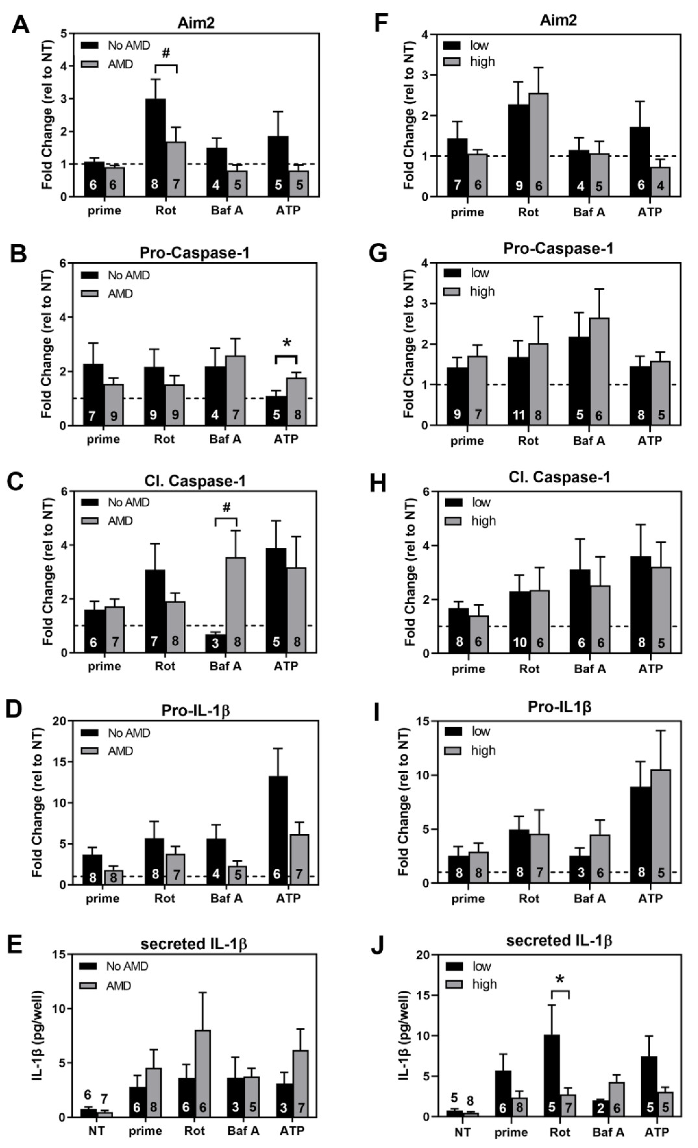 Cells 11 02075 g006 550