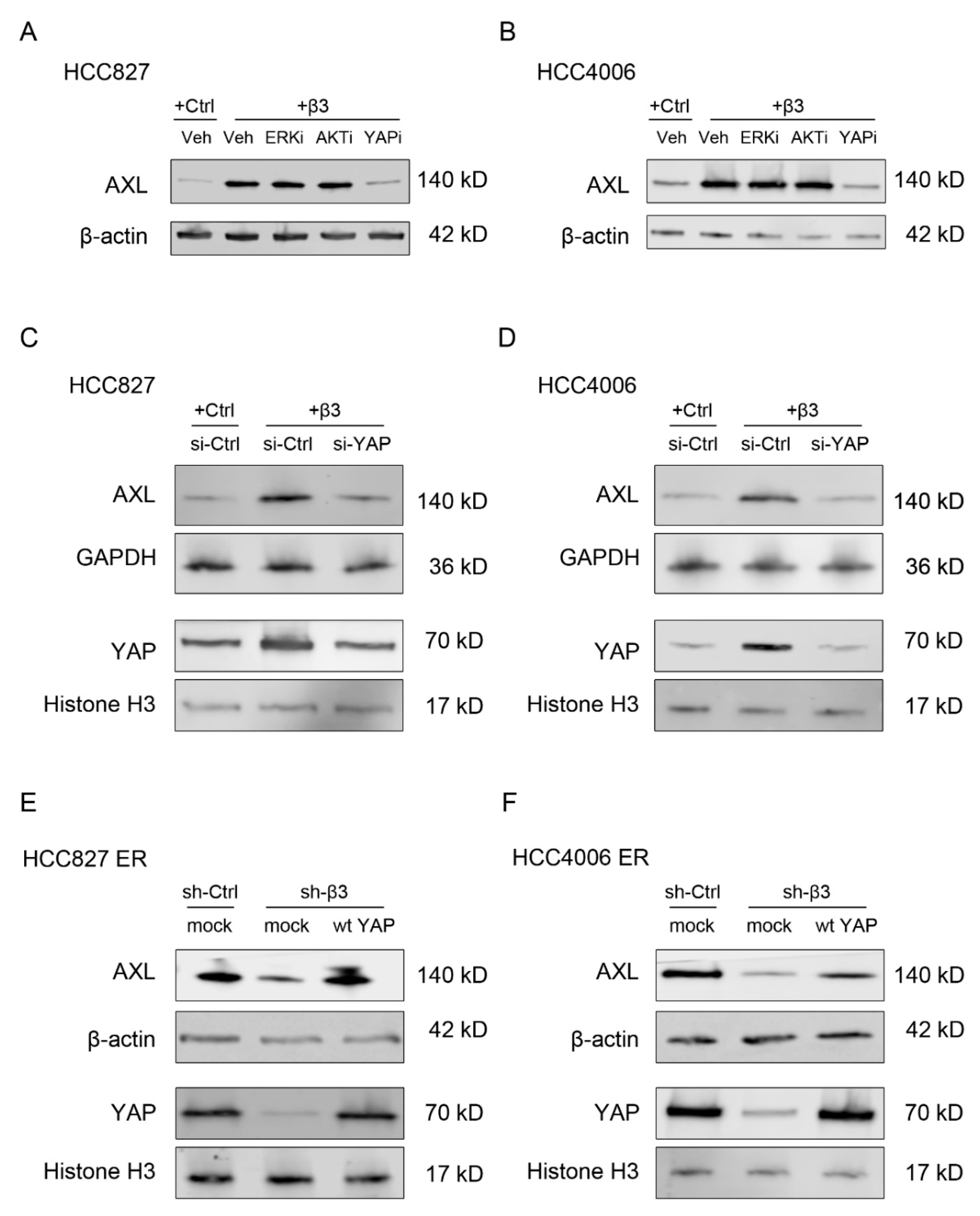 Cells 11 02078 g005 550