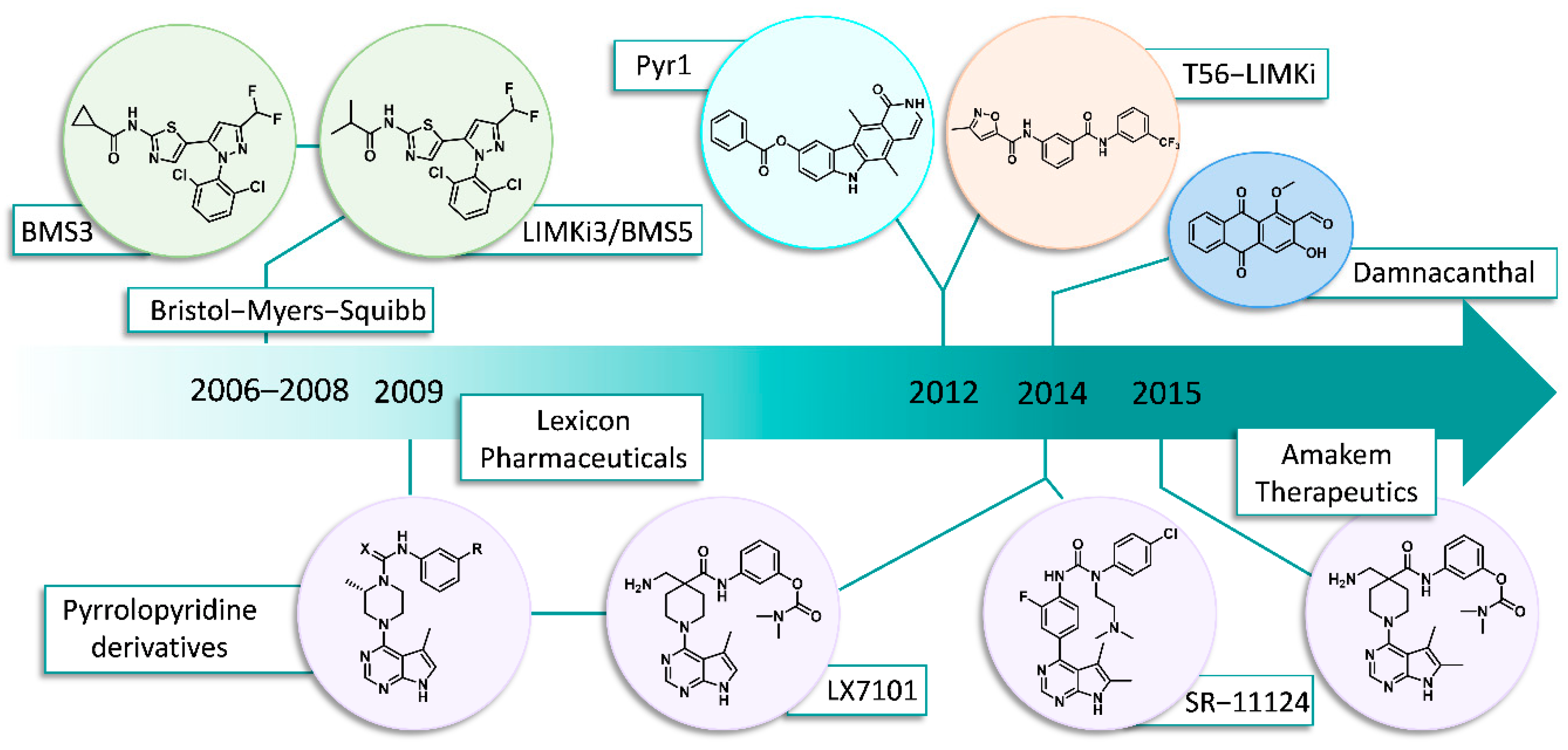 Cells 11 02090 g002 550