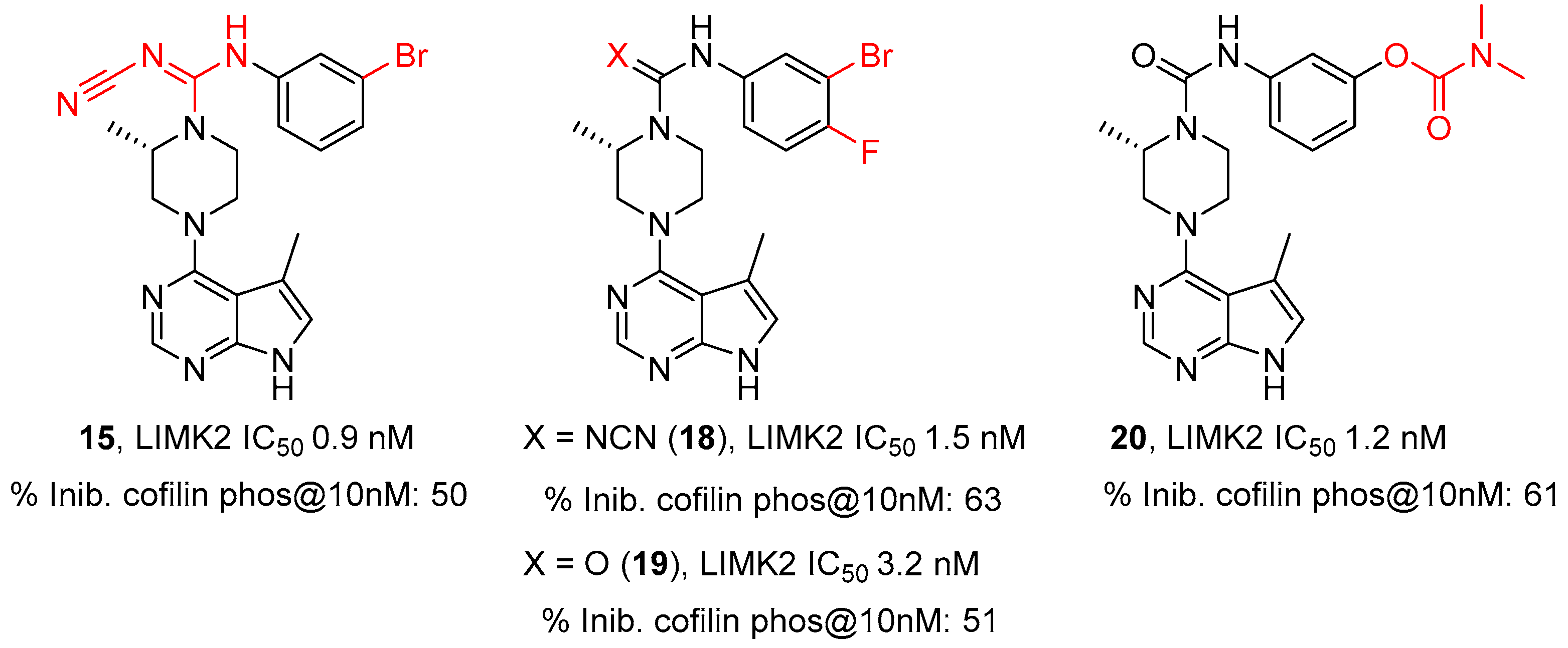 Cells 11 02090 g004 550