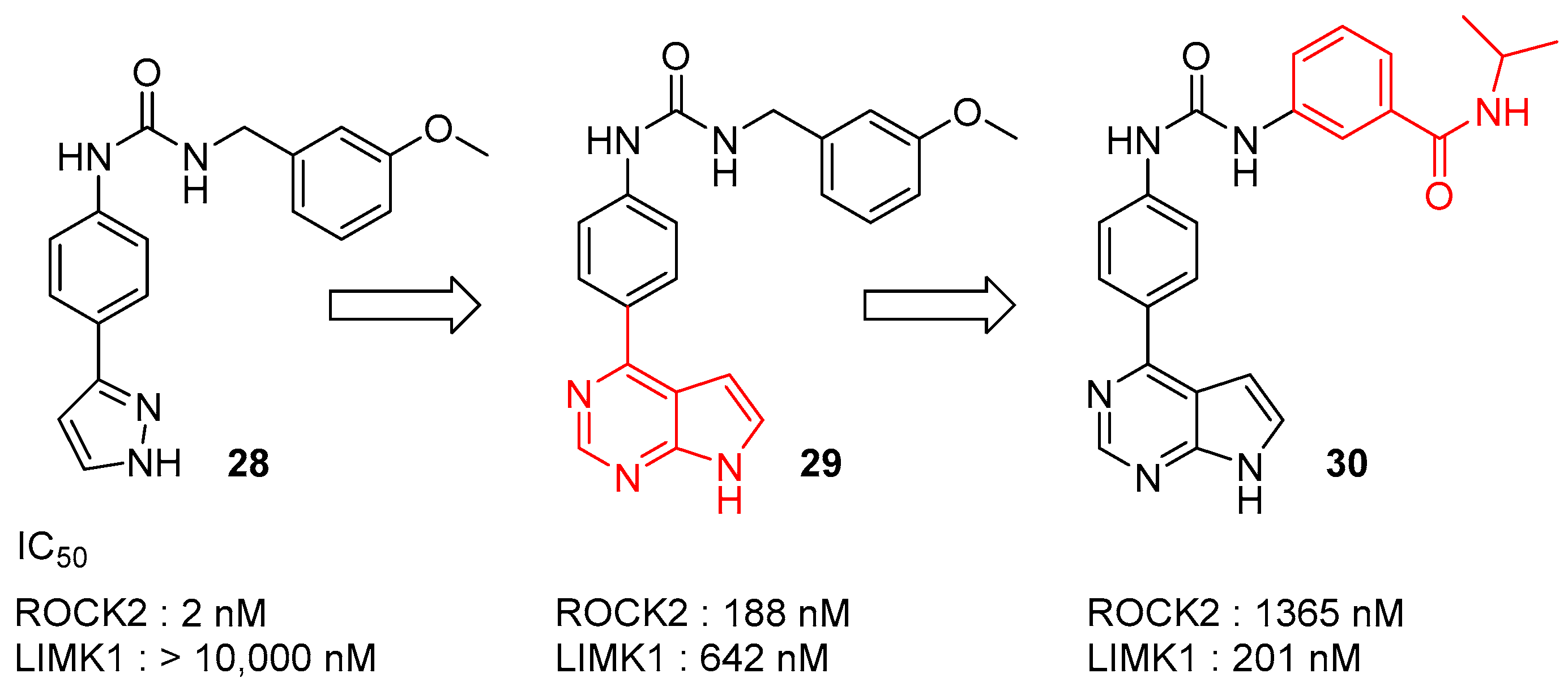 Cells 11 02090 g007 550