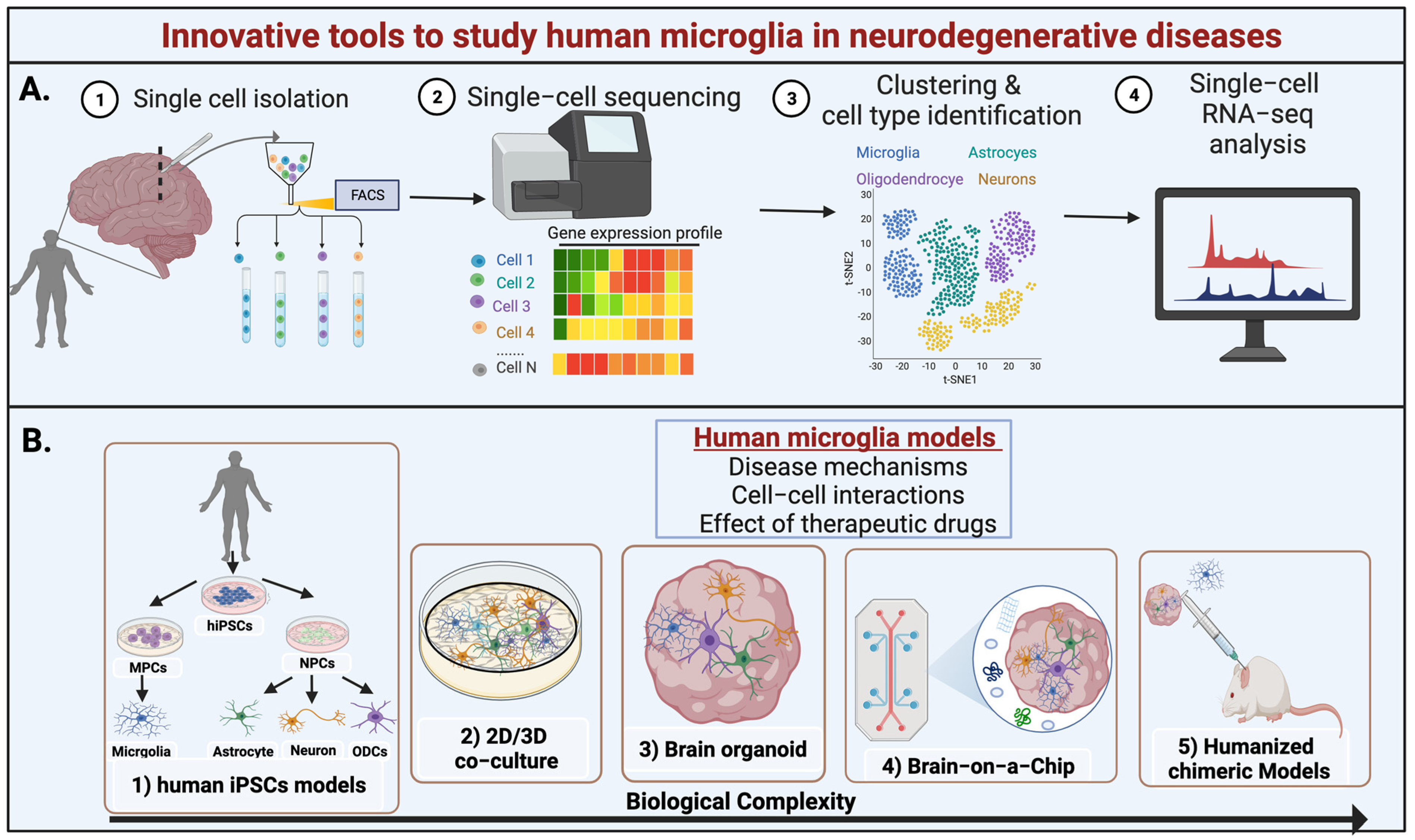 Cells 11 02091 g004 Cells 11 02091 g004