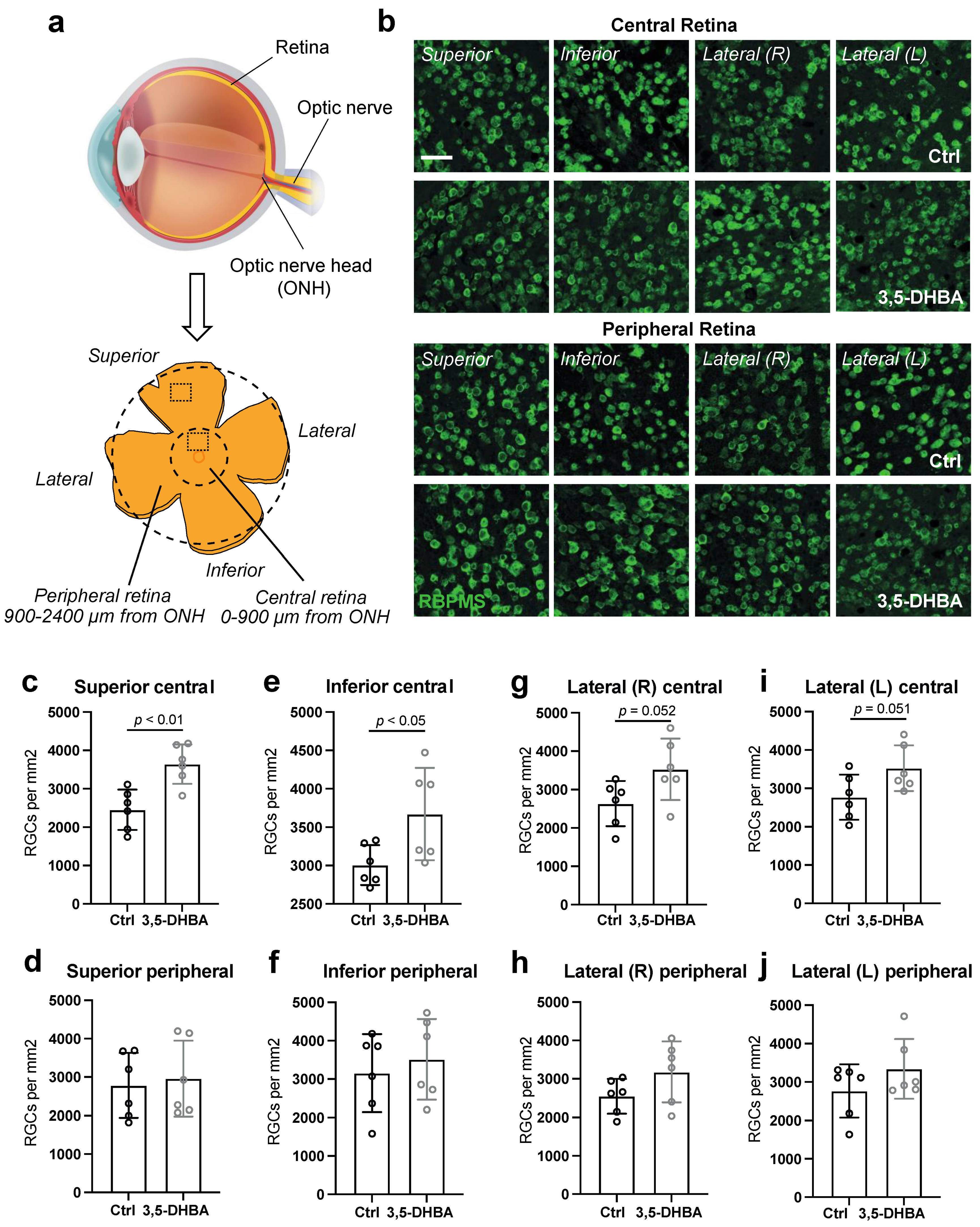 Cells 11 02098 g002 550
