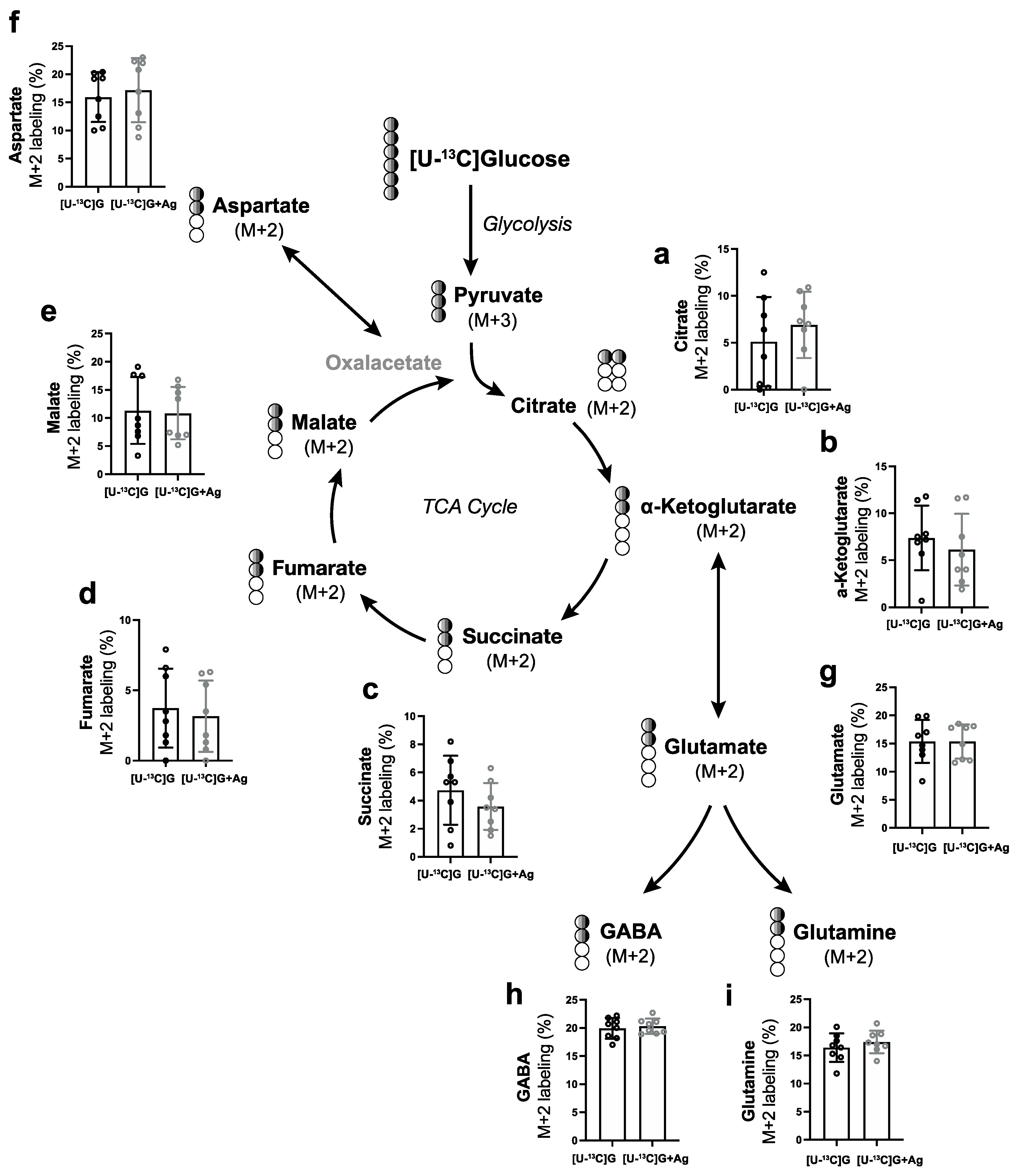 Cells 11 02098 g005 550