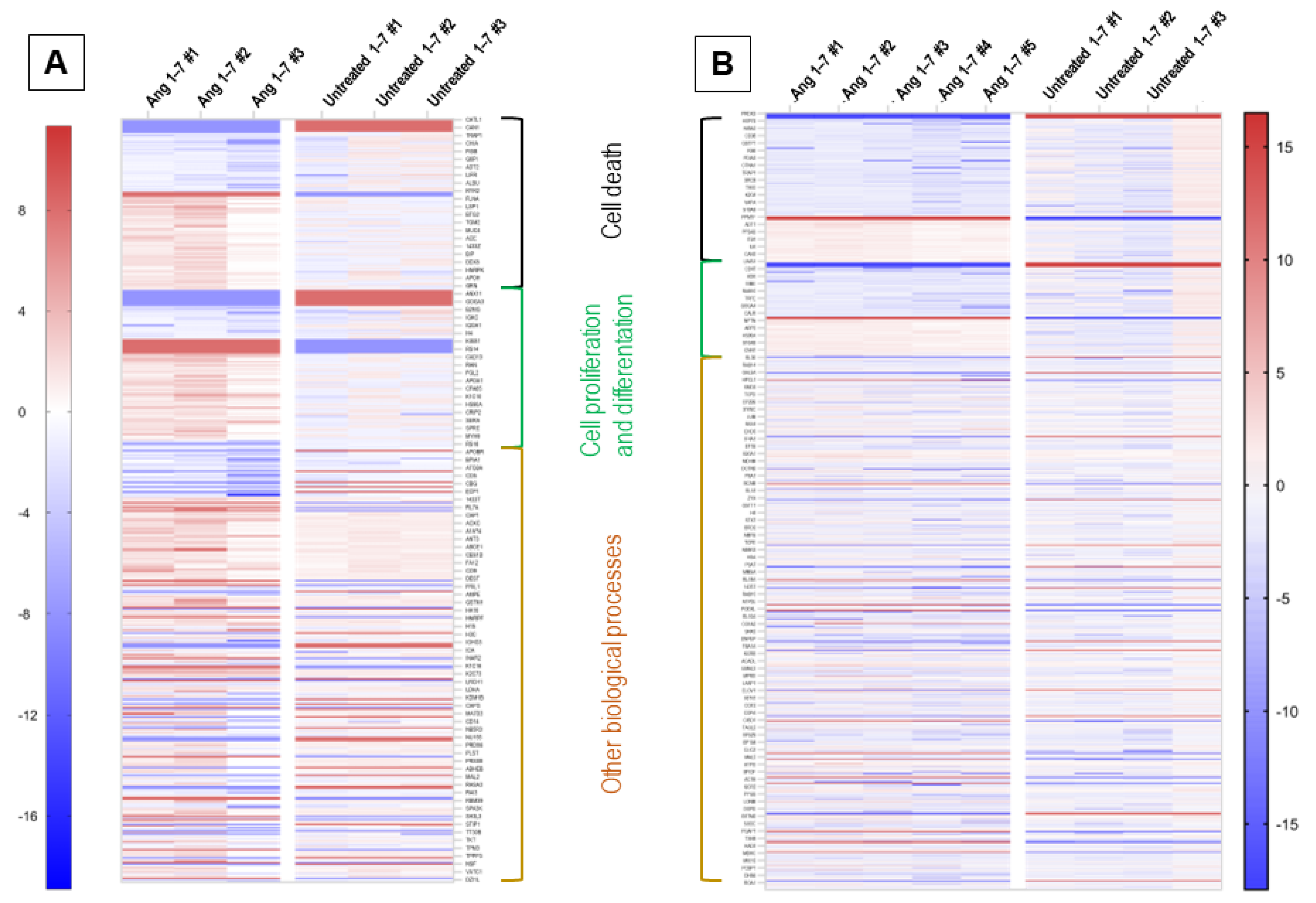 Cells 11 02102 g005 550