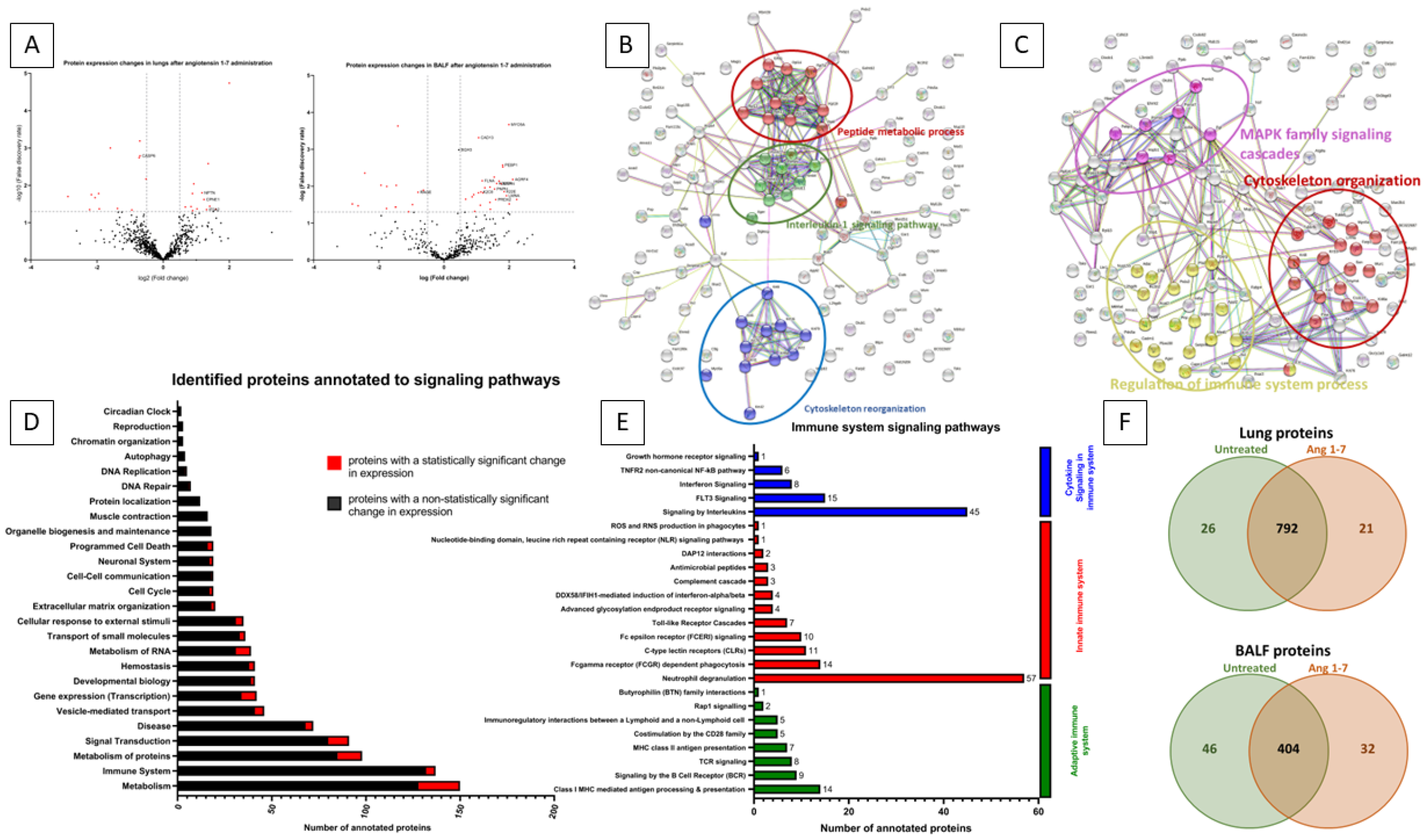 Cells 11 02102 g006 550