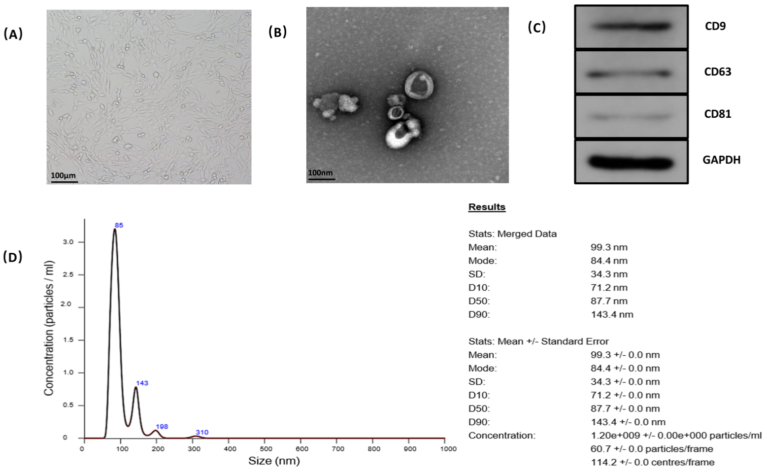 Cells 11 02104 g002 Cells 11 02104 g002