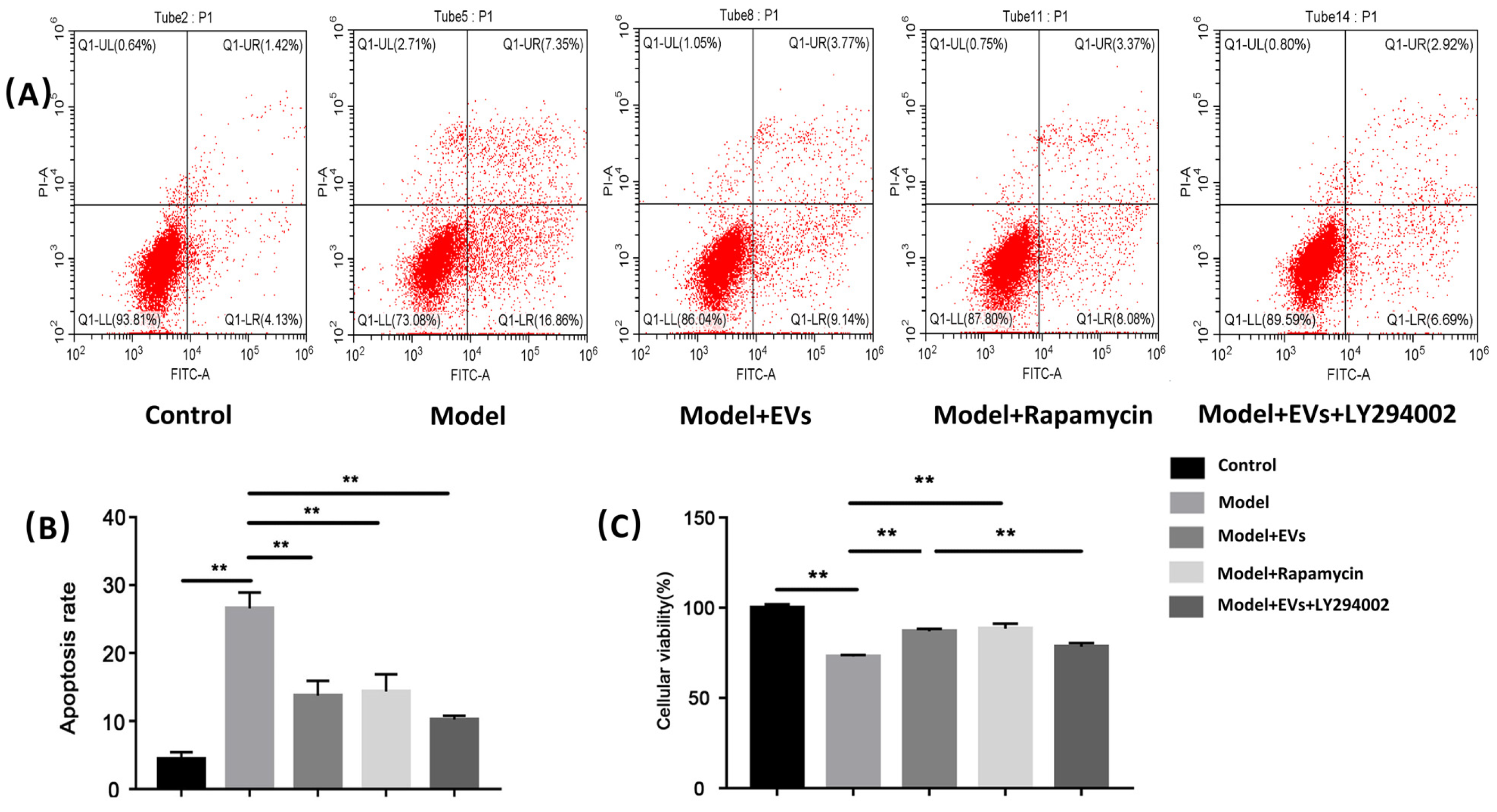 Cells 11 02104 g005 Cells 11 02104 g005