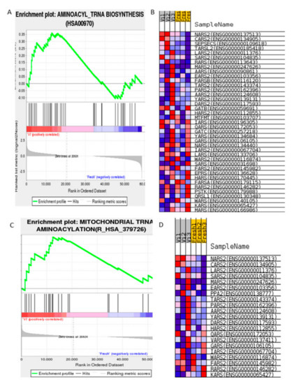 ゲームキューブ Epigenetic Alterations in Cryopreserved Human Spermatozoa