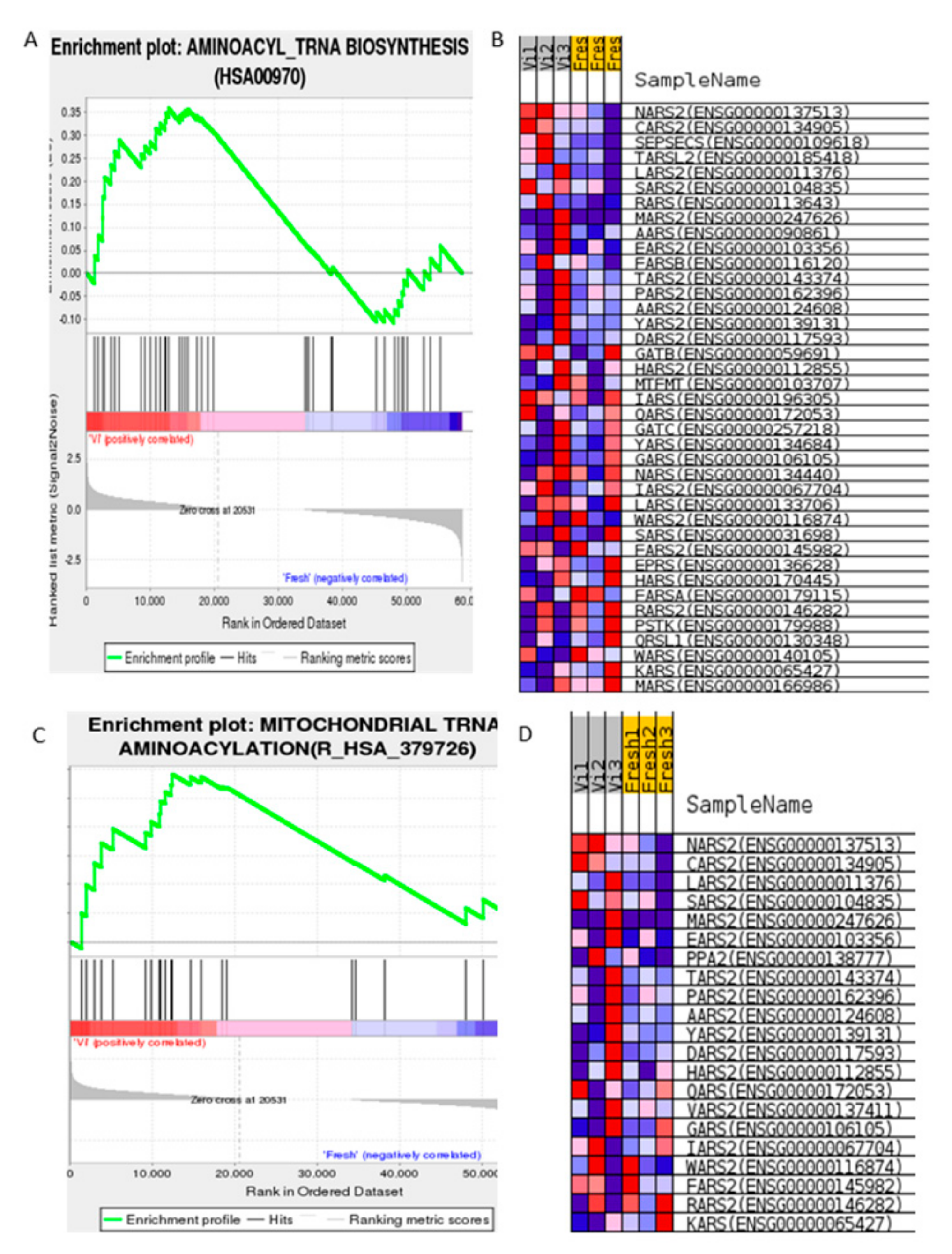 サーティワン Epigenetic Alterations in Cryopreserved Human Spermatozoa
