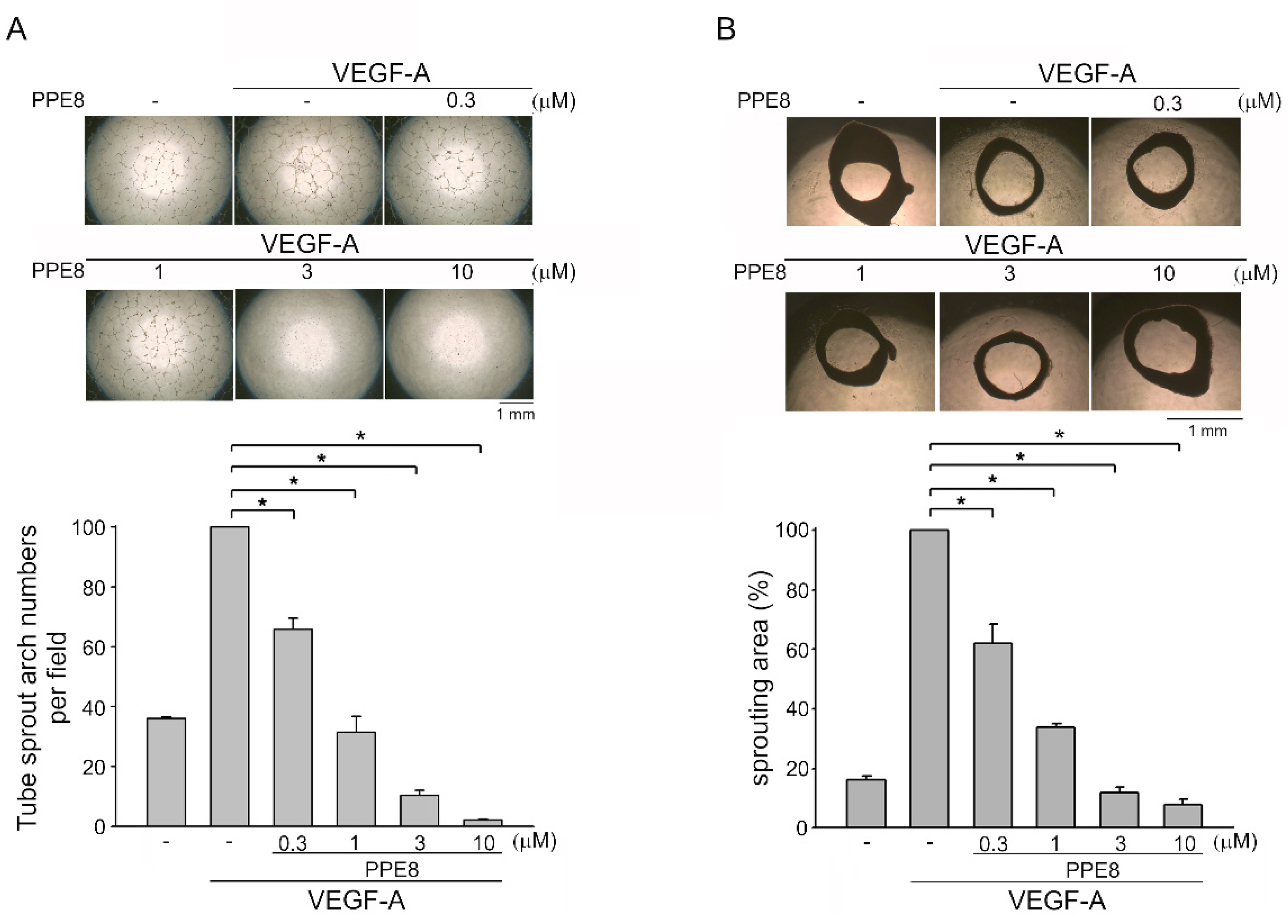 Cells 11 02114 g002 550