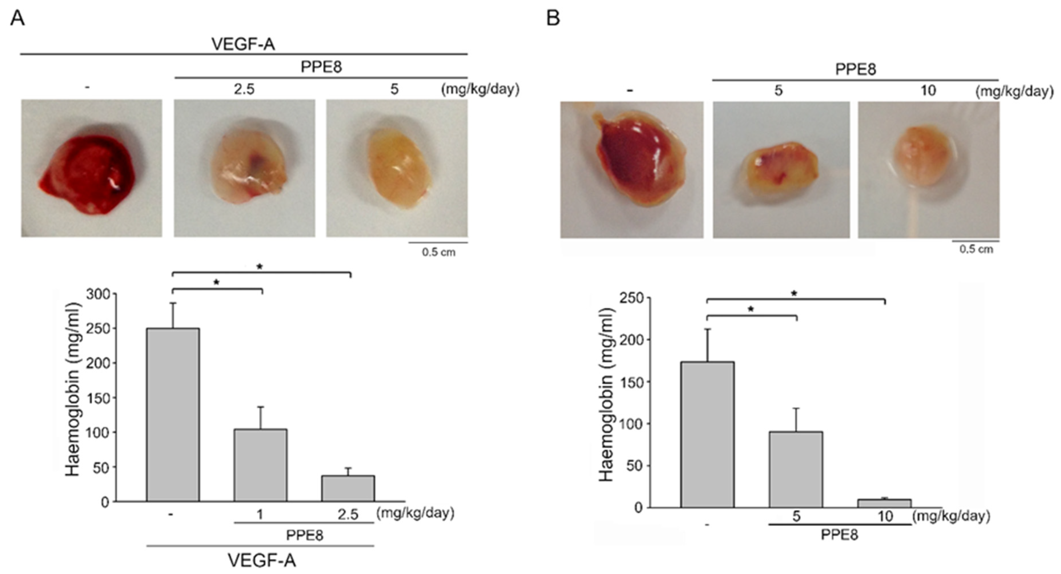 Cells 11 02114 g003 550