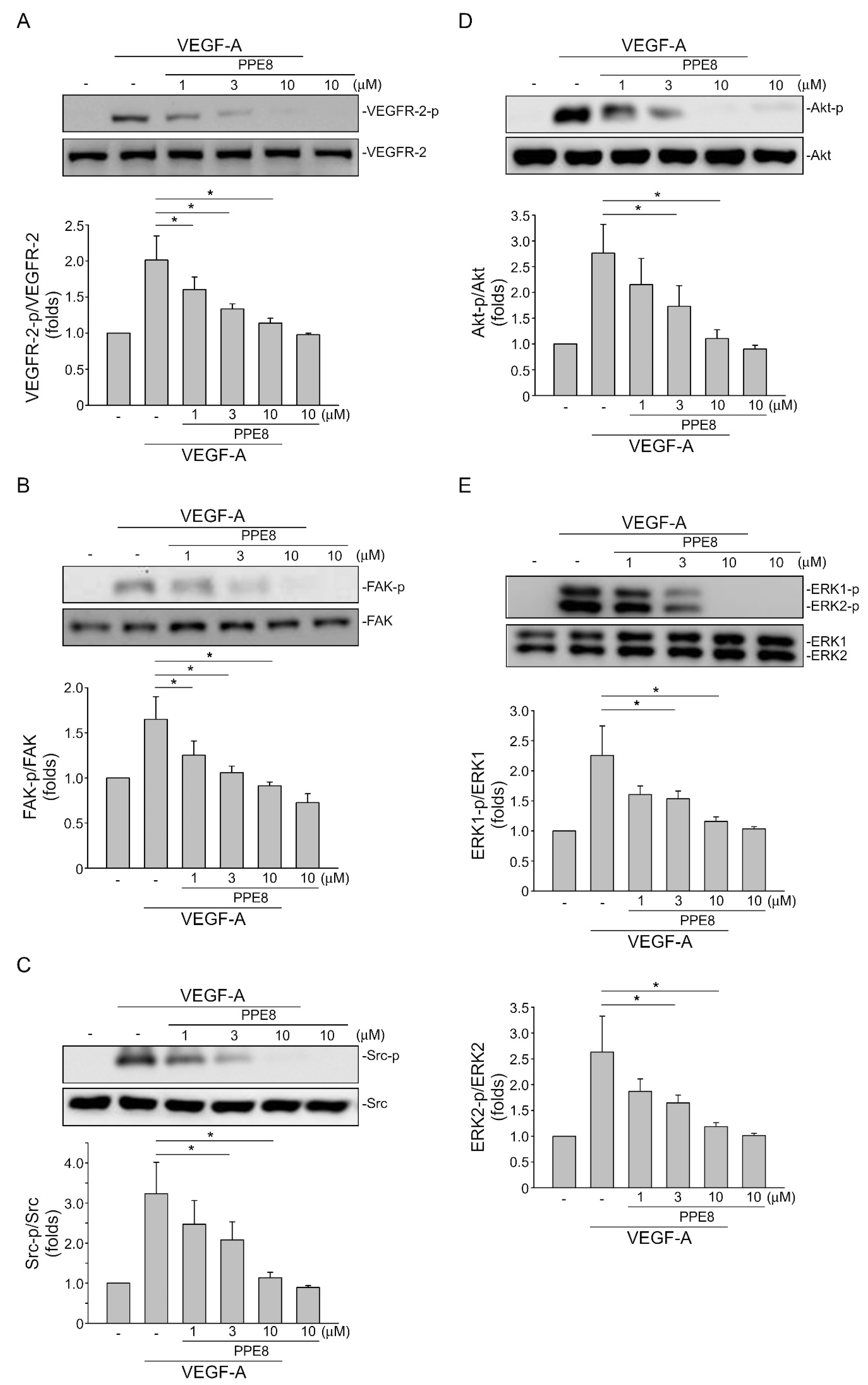 Cells 11 02114 g004 550