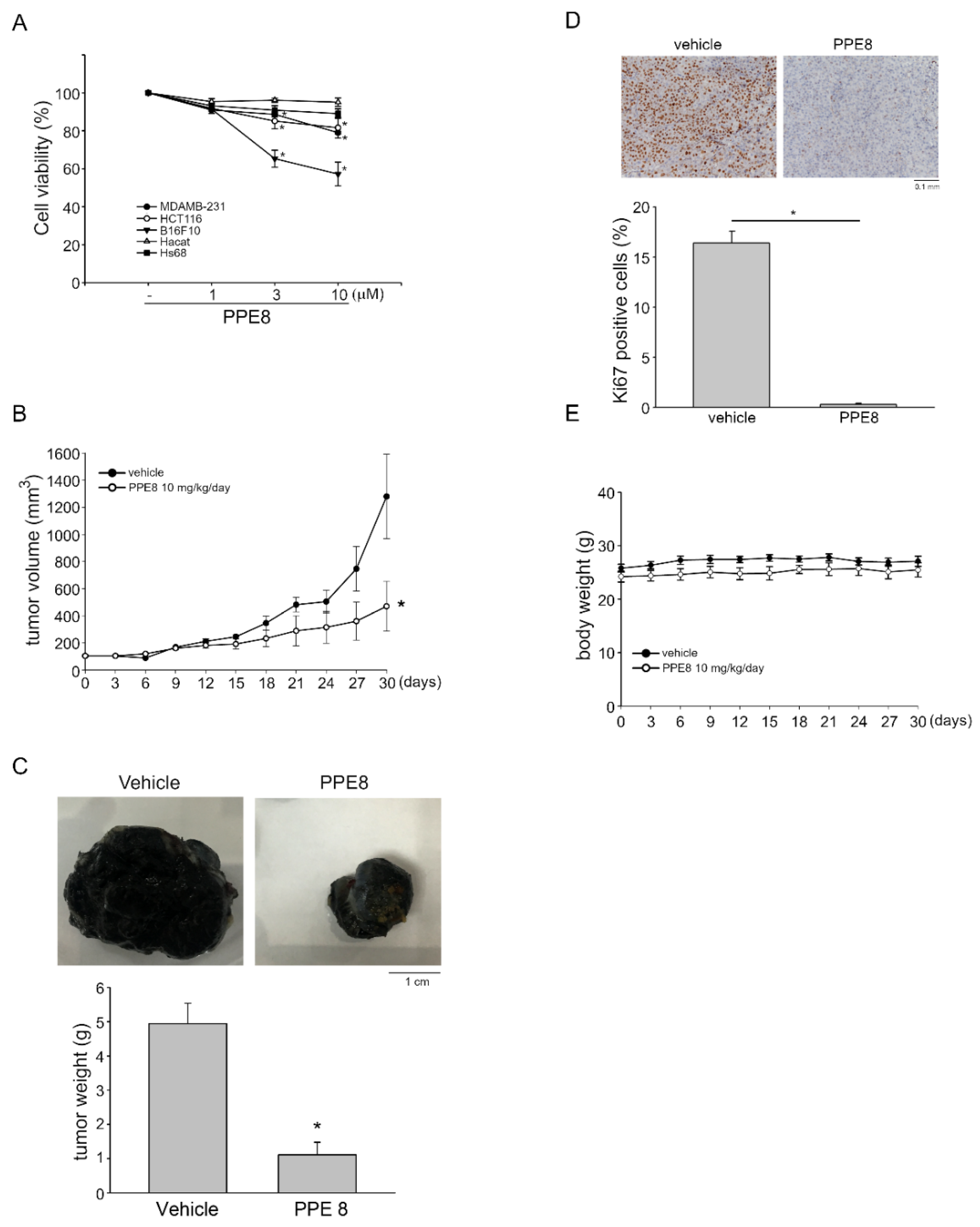 Cells 11 02114 g005 550