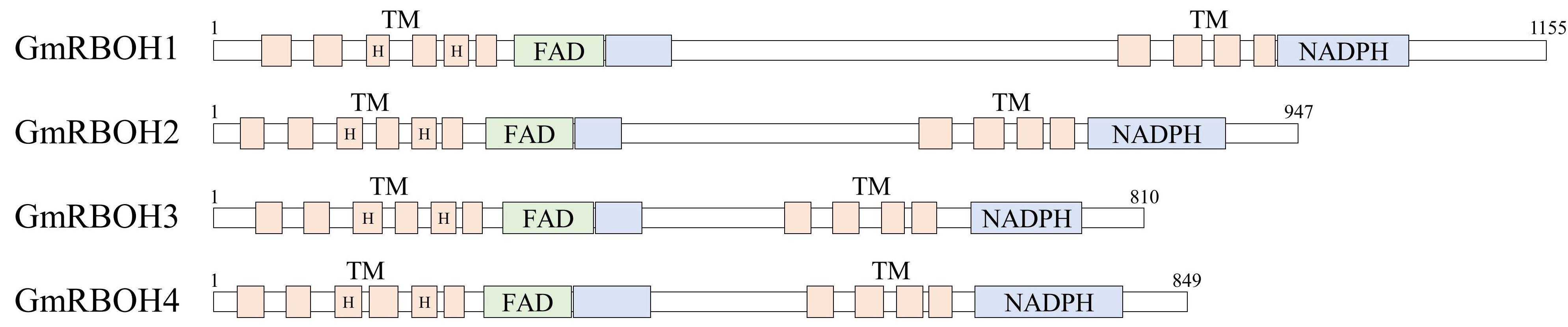 Cells 11 02124 g007 Cells 11 02124 g007