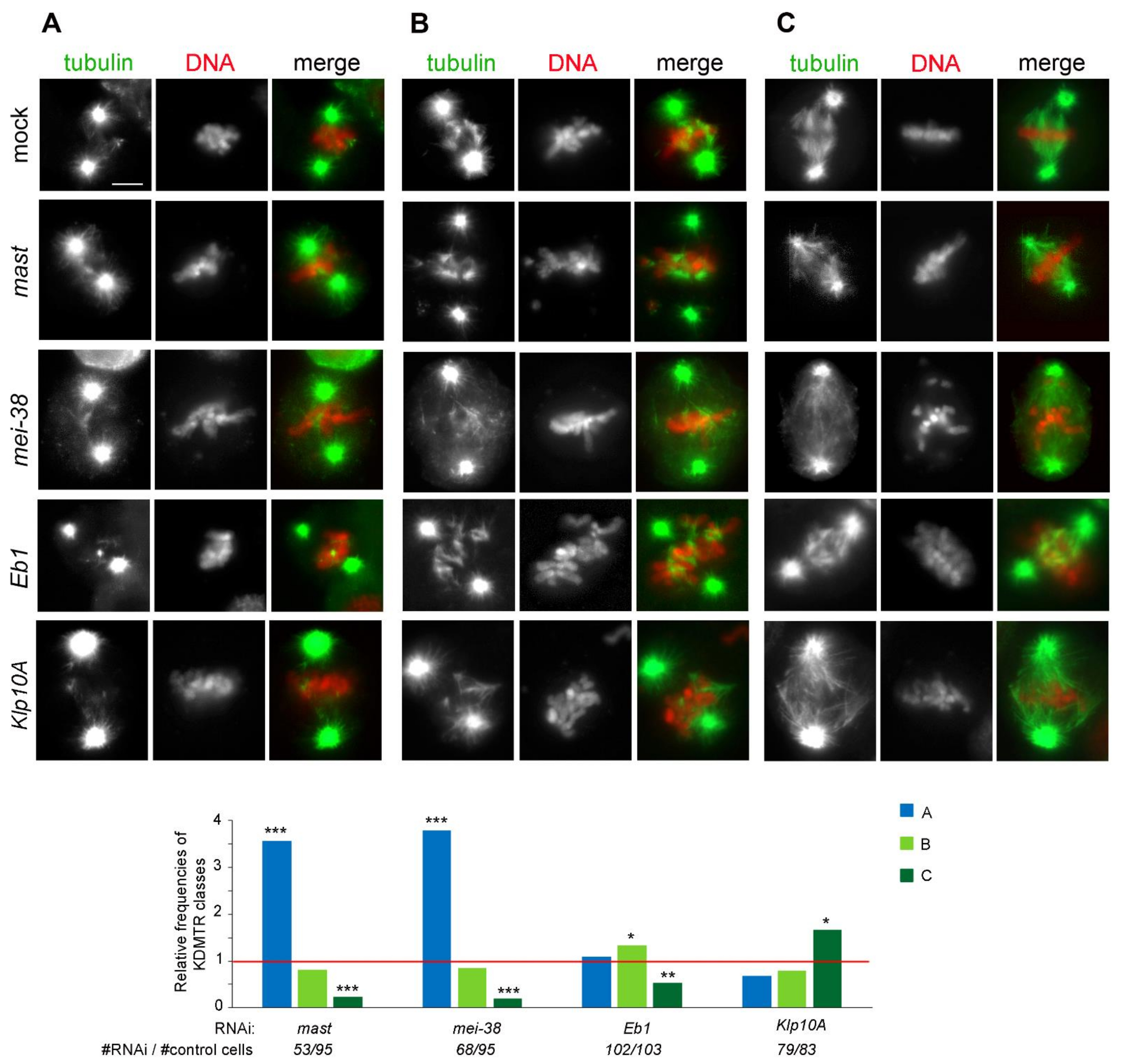 Cells 11 02127 g007 Cells 11 02127 g007