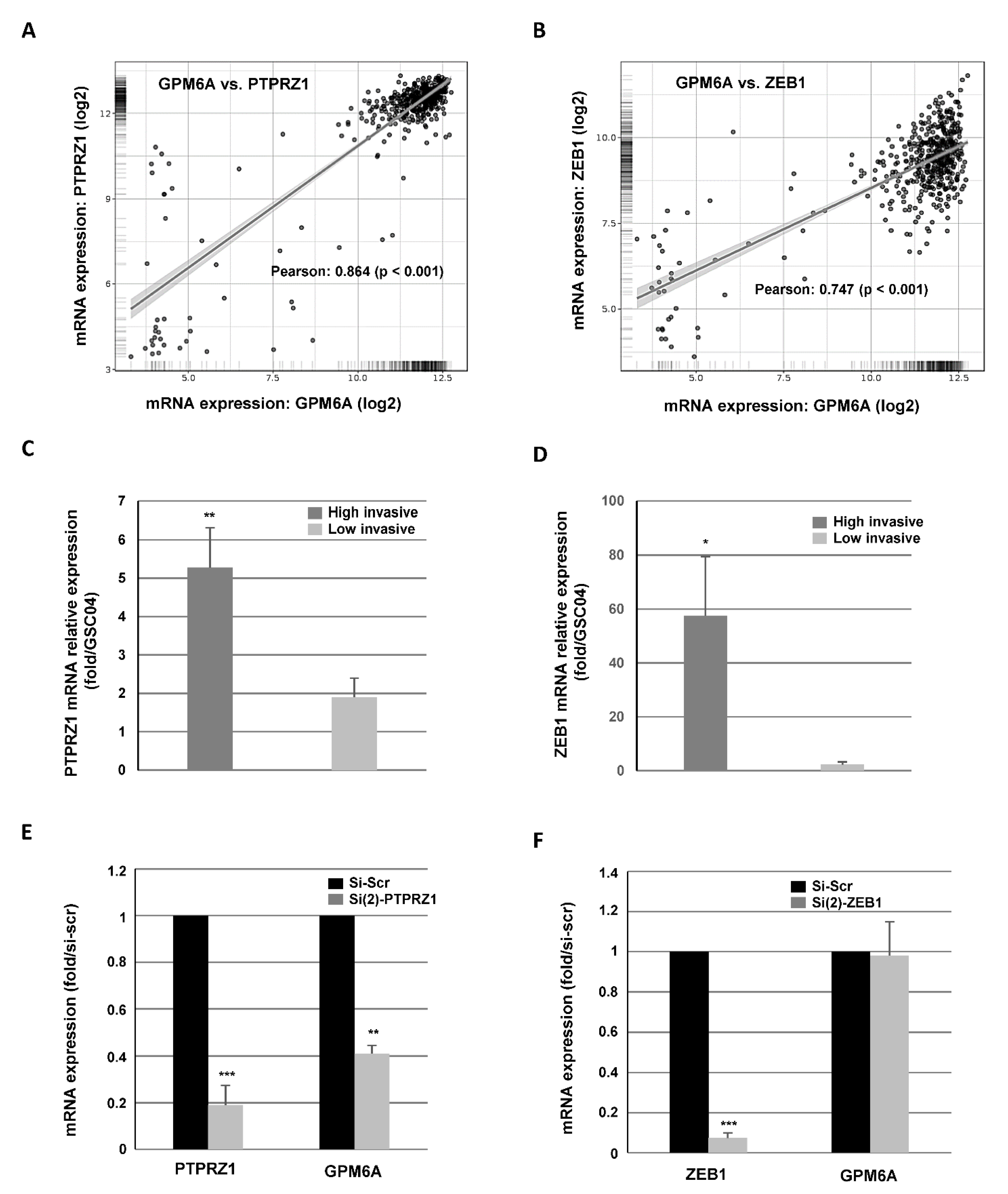 Cells 11 02128 g005 550