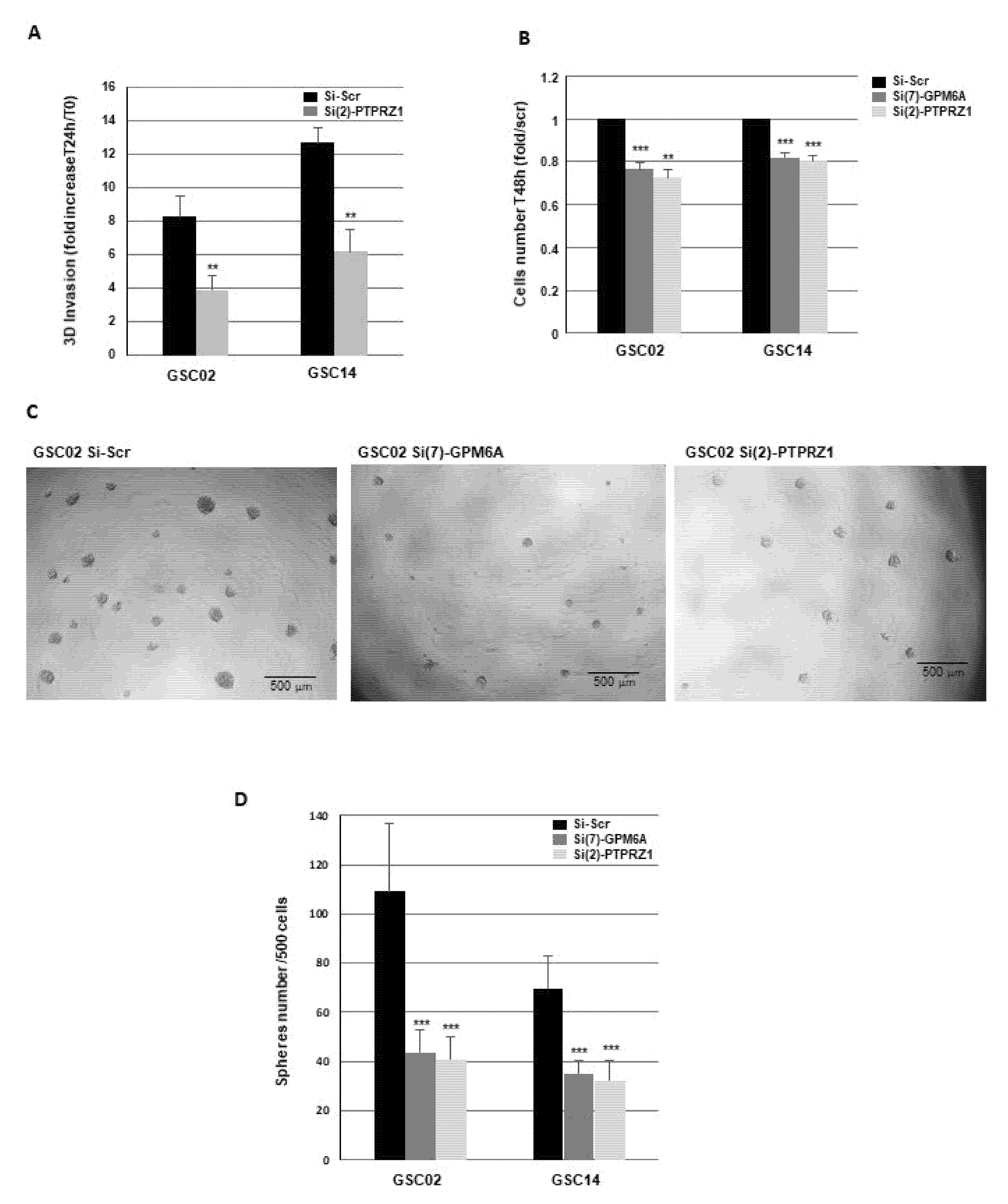 Cells 11 02128 g006 550