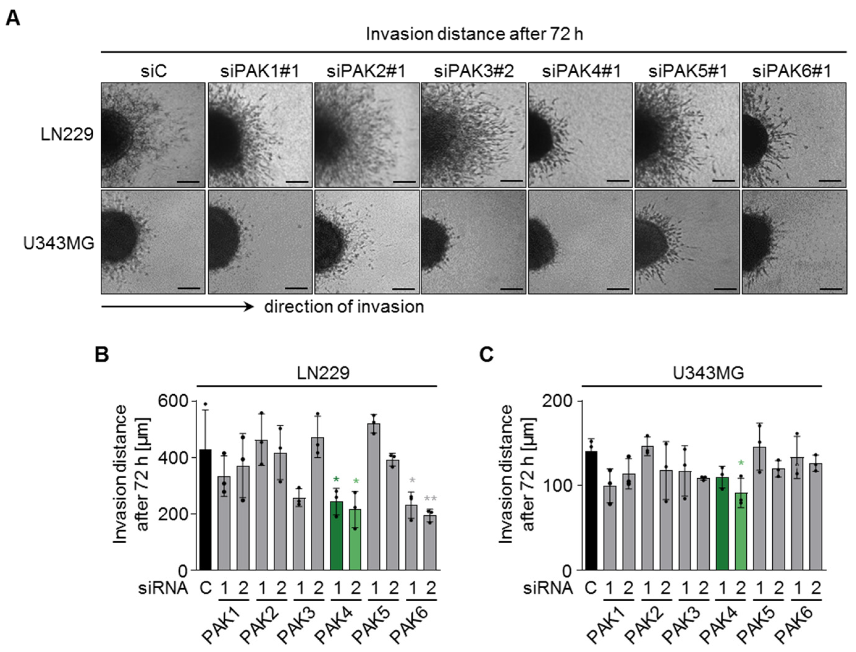 Cells 11 02133 g002 Cells 11 02133 g002