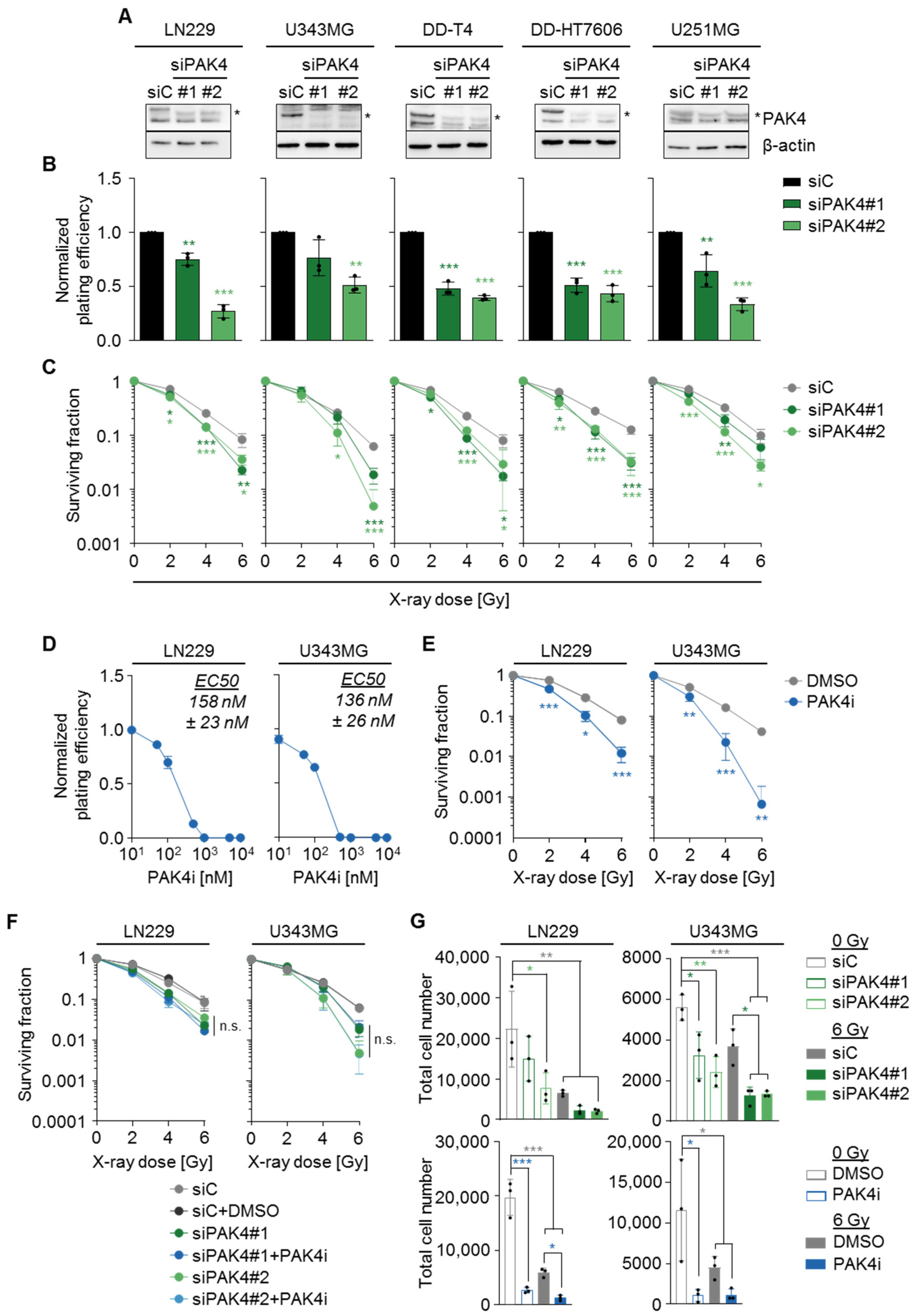 Cells 11 02133 g003 Cells 11 02133 g003