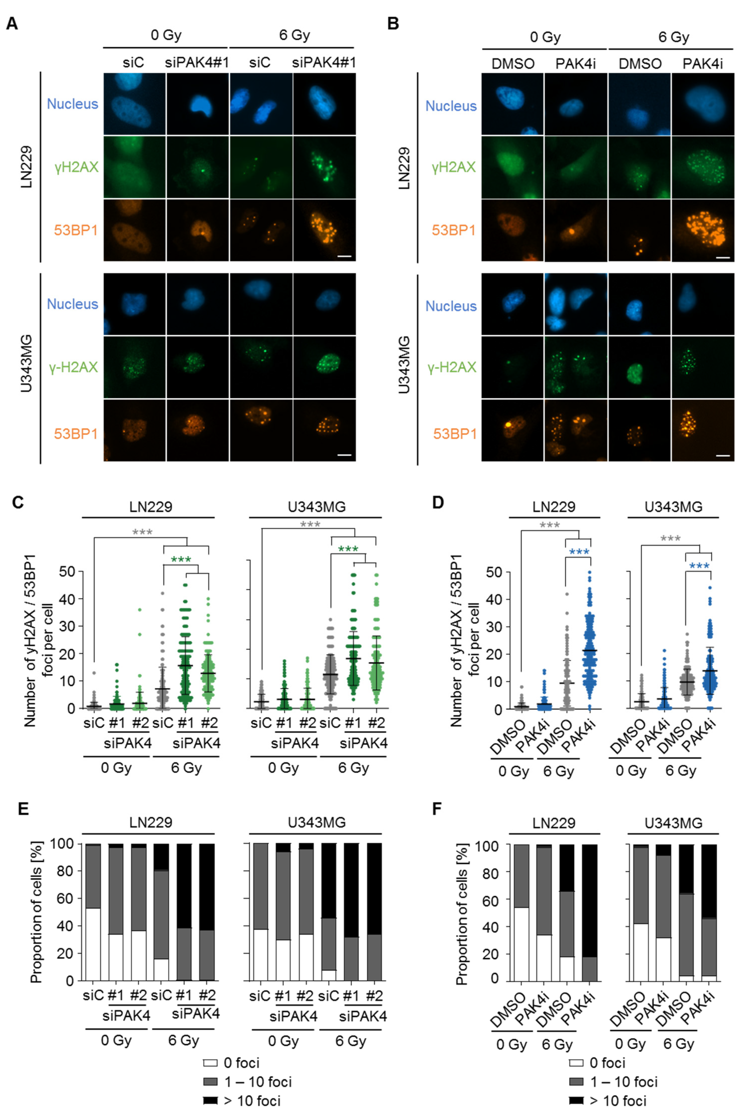Cells 11 02133 g004 Cells 11 02133 g004