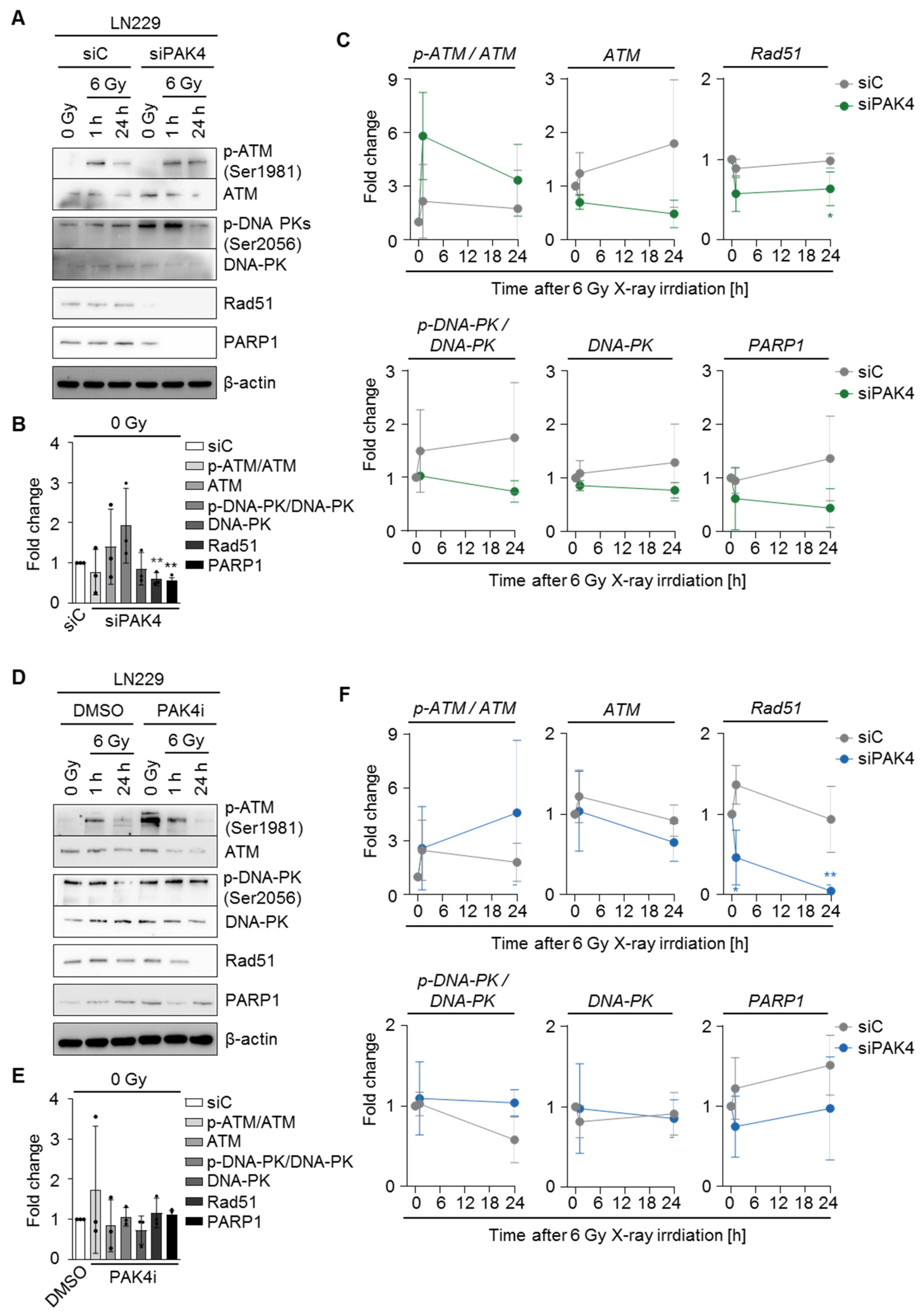 Cells 11 02133 g005 Cells 11 02133 g005