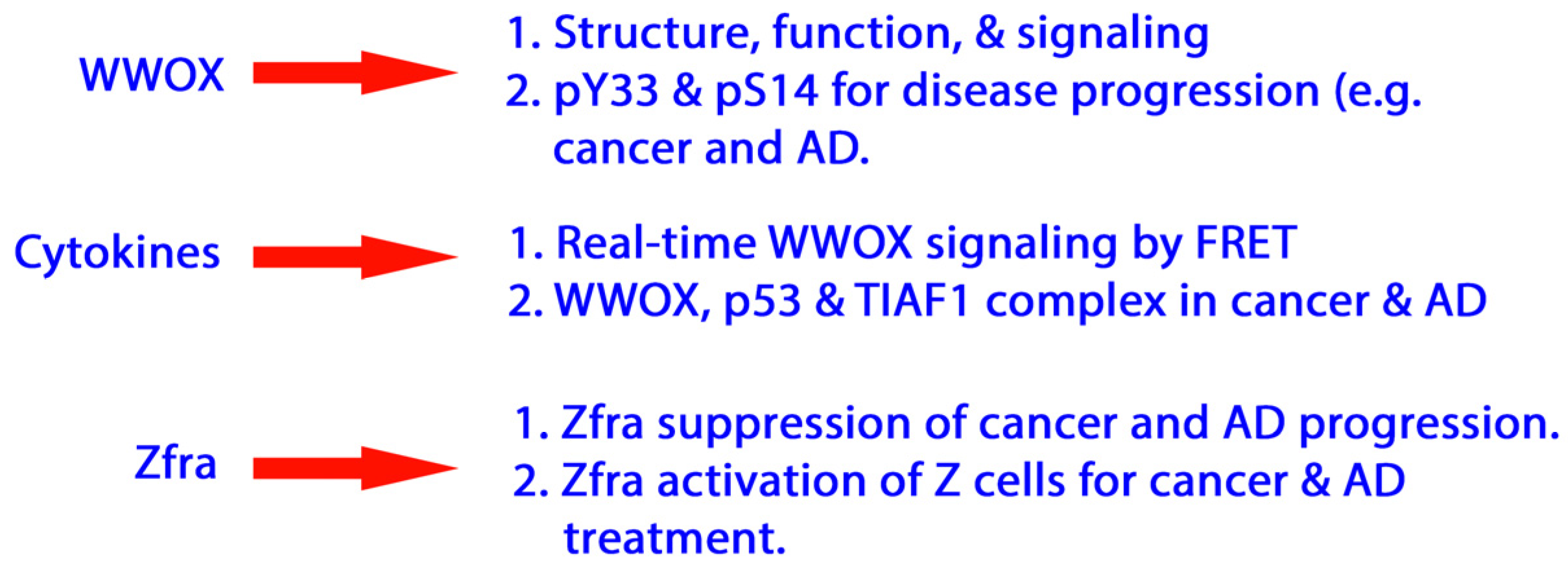 Cells 11 02137 g001 Cells 11 02137 g001