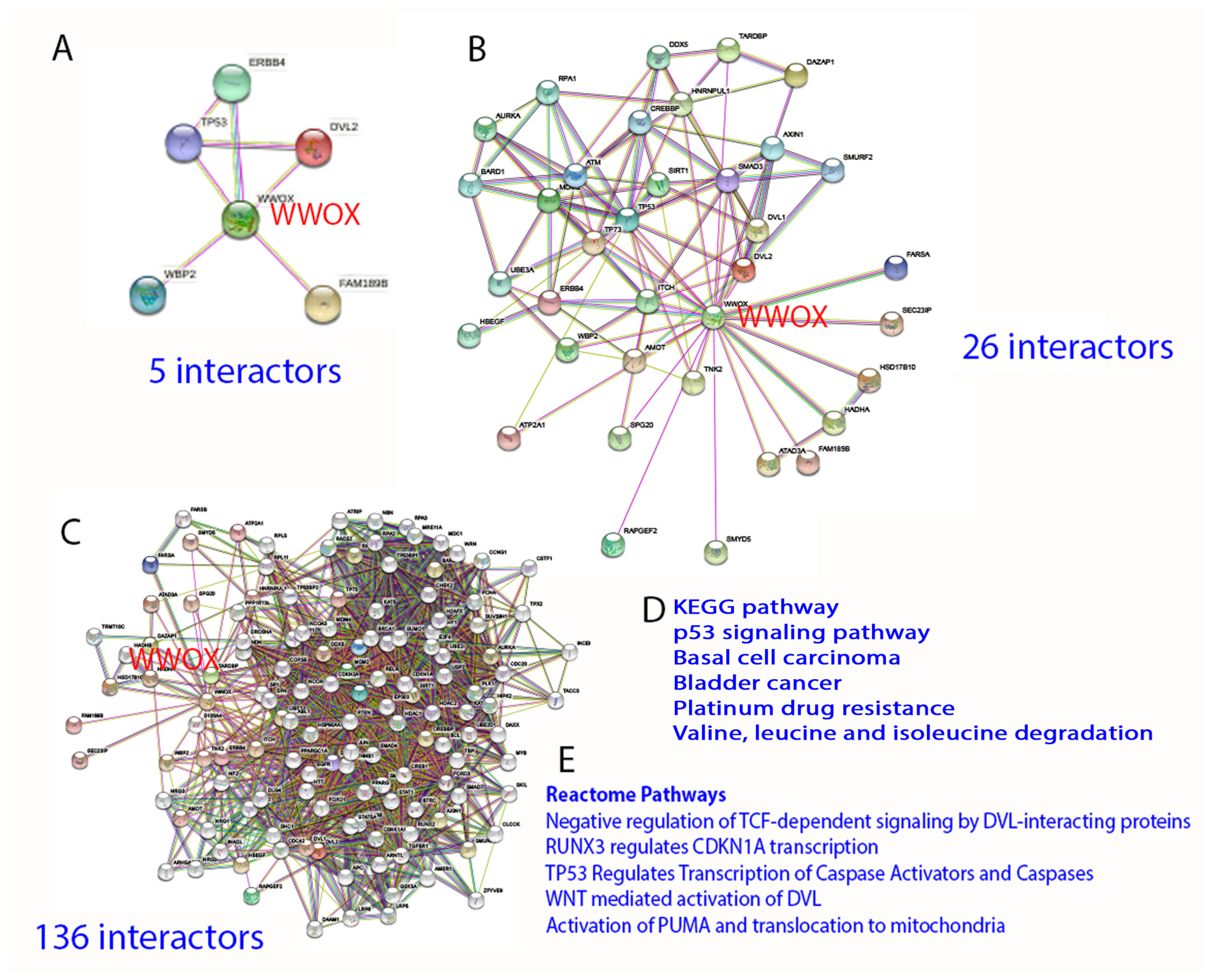 Cells 11 02137 g004 Cells 11 02137 g004