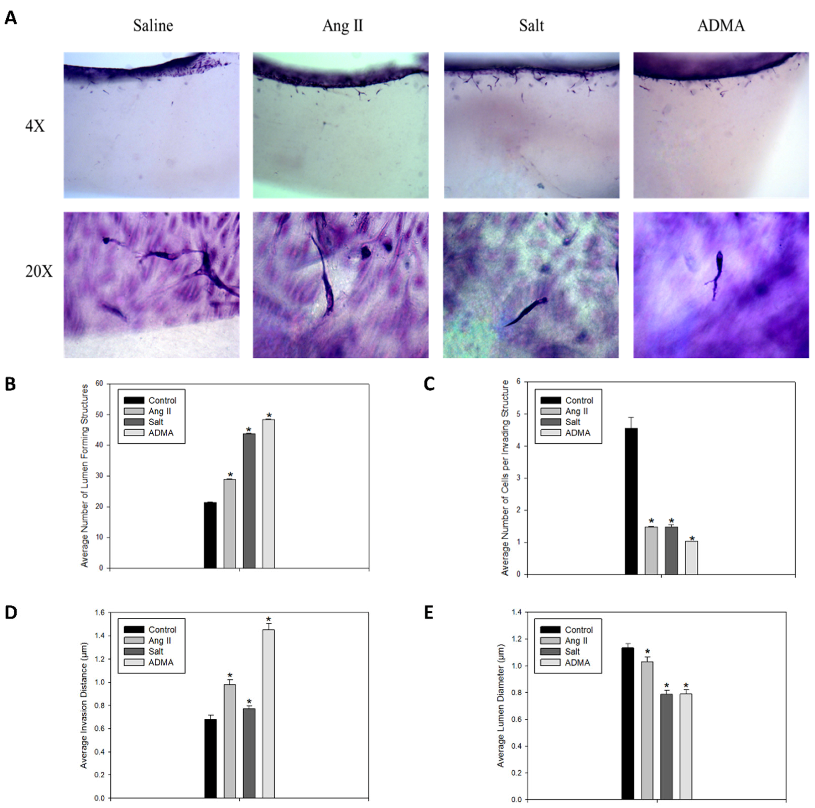 Cells 11 02139 g002 550