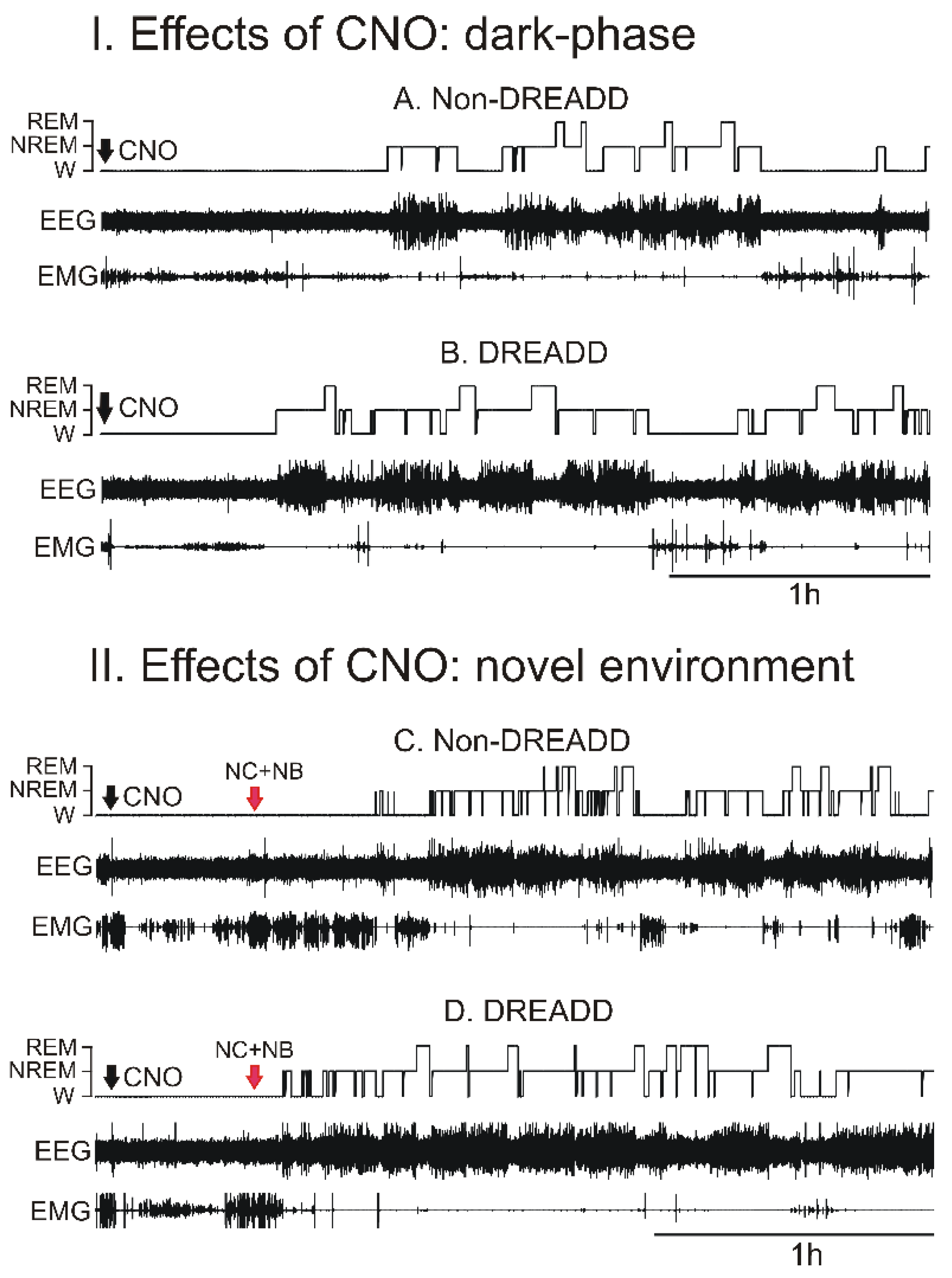 Cells 11 02140 g002 Cells 11 02140 g002