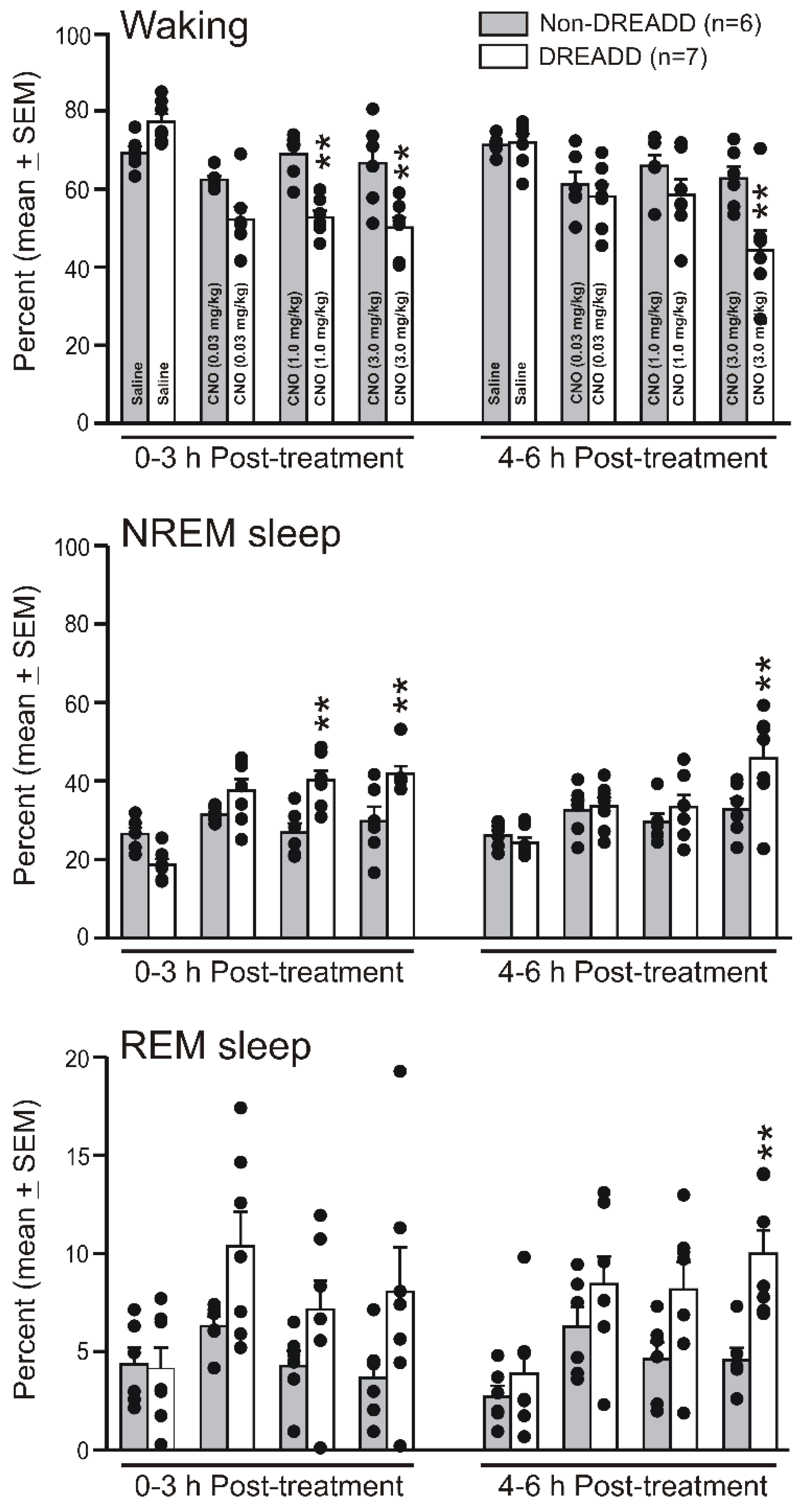 Cells 11 02140 g003 Cells 11 02140 g003