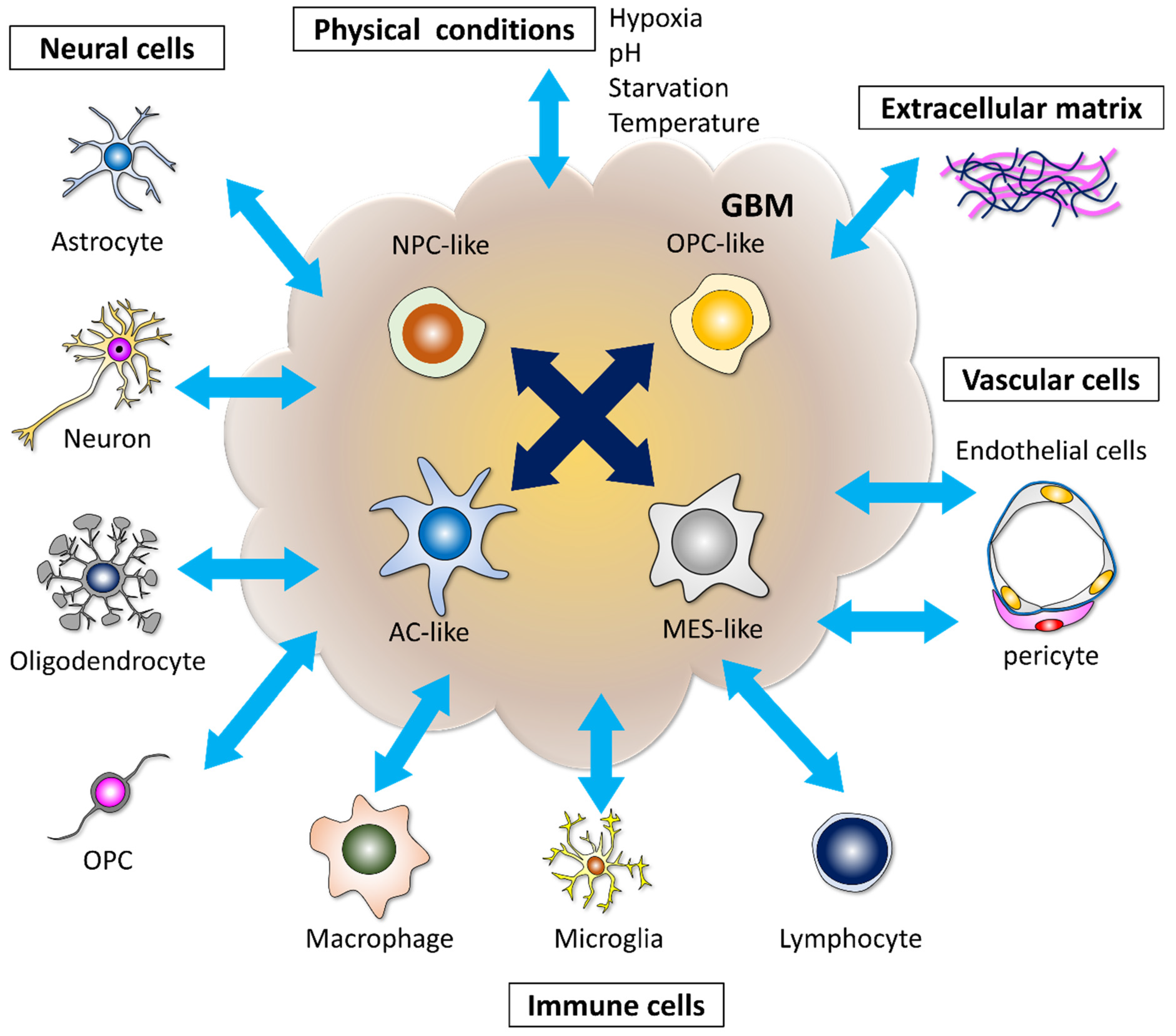 Cells 11 02142 g001 550