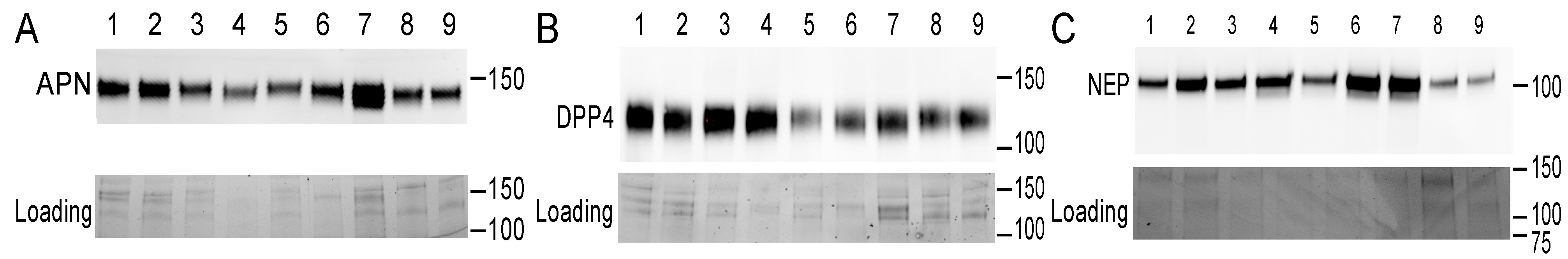Cells 11 02147 g003 550