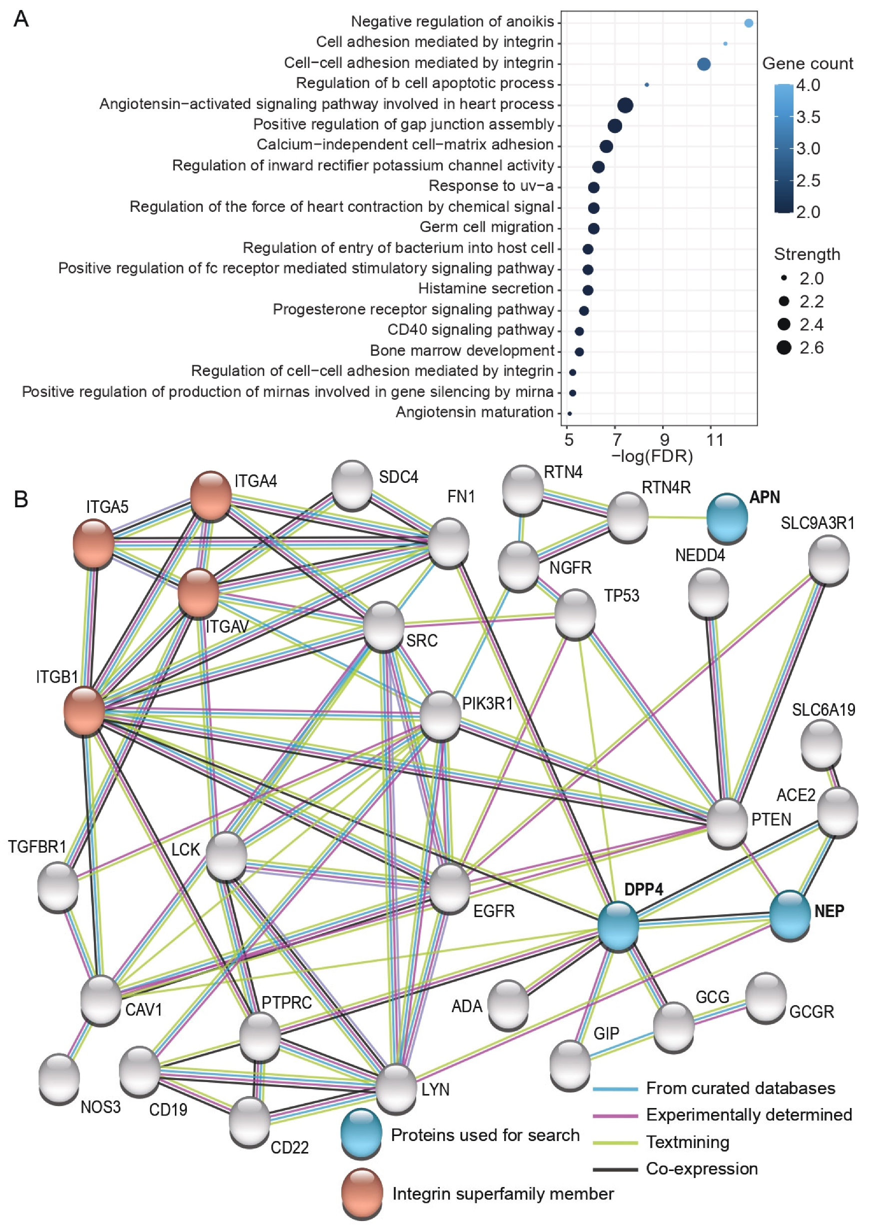 Cells 11 02147 g005 550