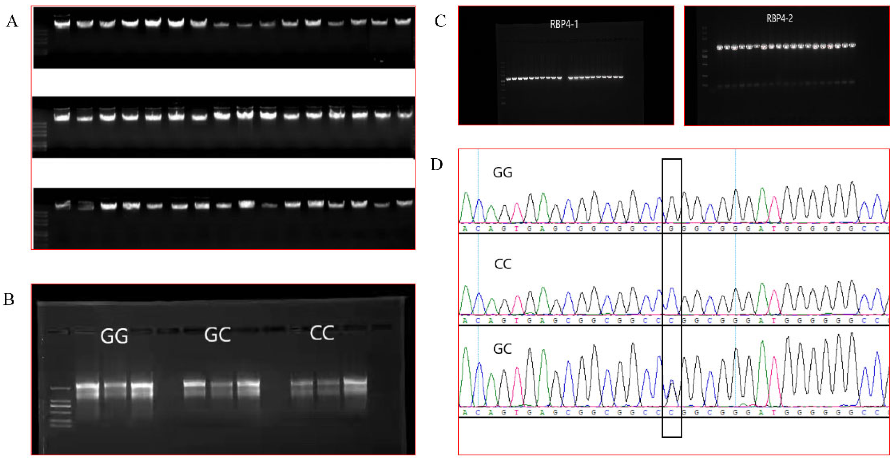 Cells 11 02148 g001 Cells 11 02148 g001