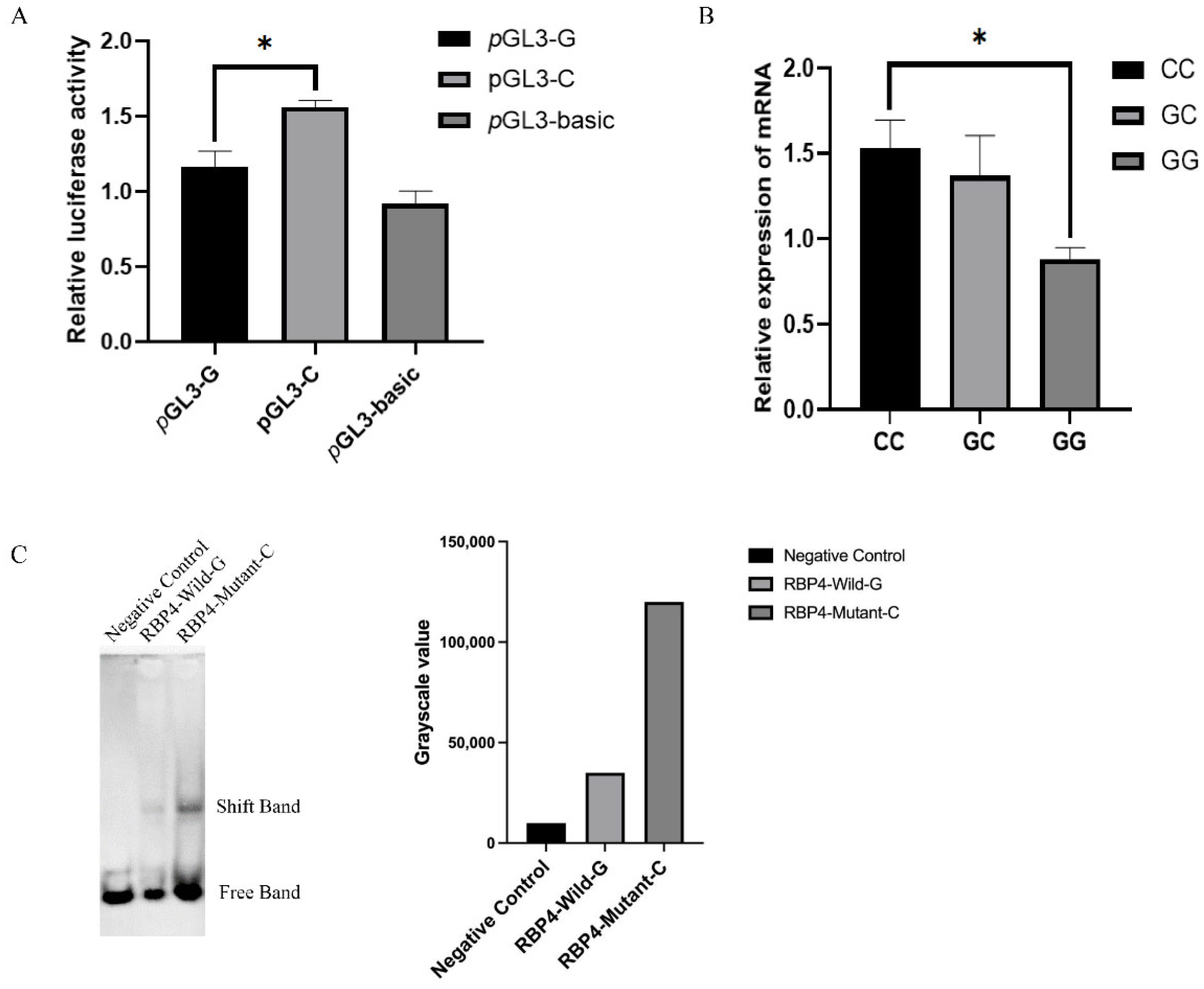 Cells 11 02148 g003 Cells 11 02148 g003