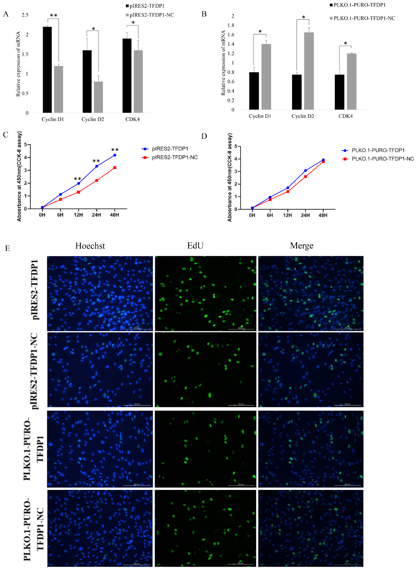 Cells 11 02148 g006 Cells 11 02148 g006
