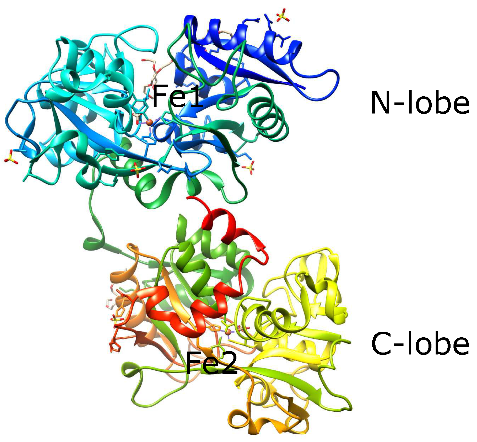 Cells 11 02152 g002 Cells 11 02152 g002