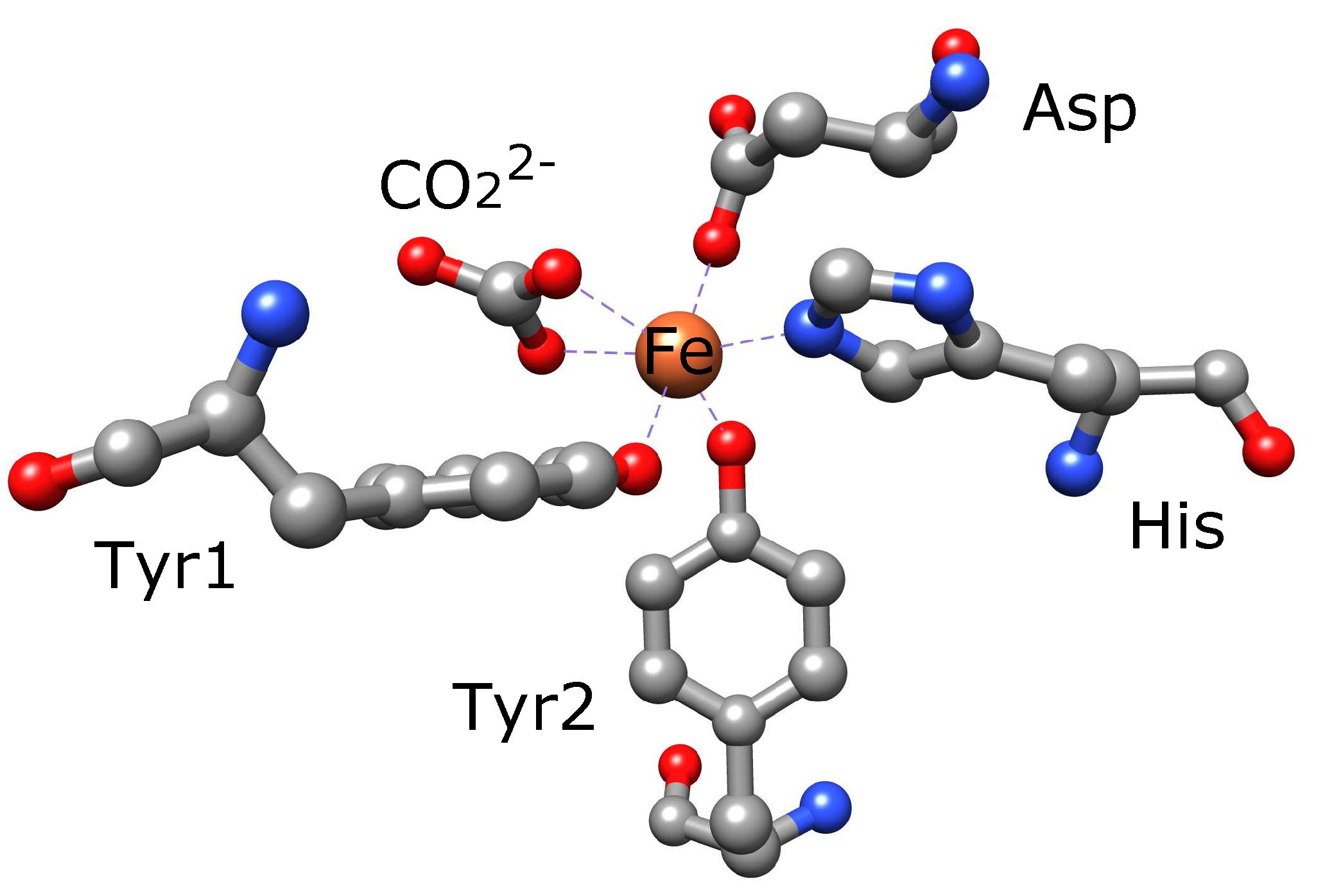 Cells 11 02152 g003 Cells 11 02152 g003