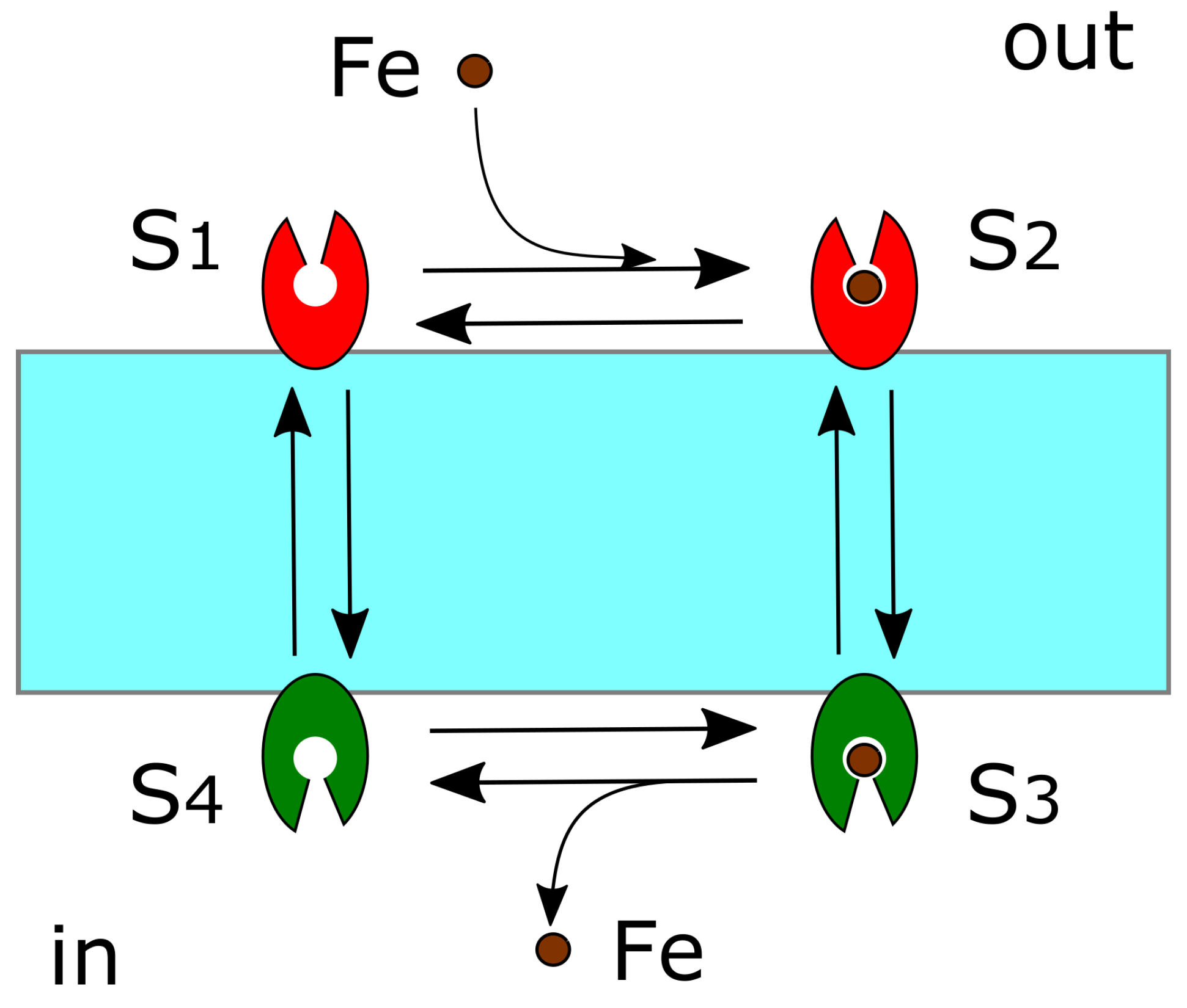 Cells 11 02152 g005 Cells 11 02152 g005