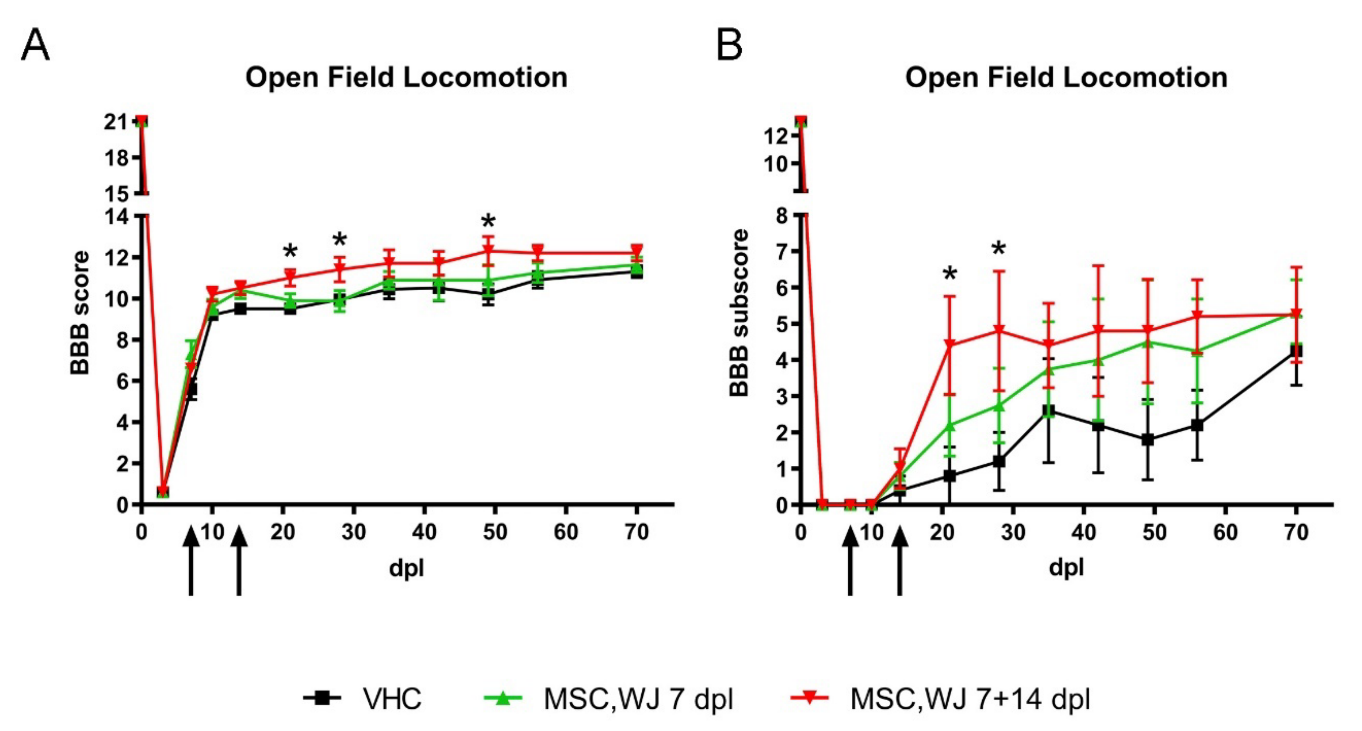 Cells 11 02153 g003 550