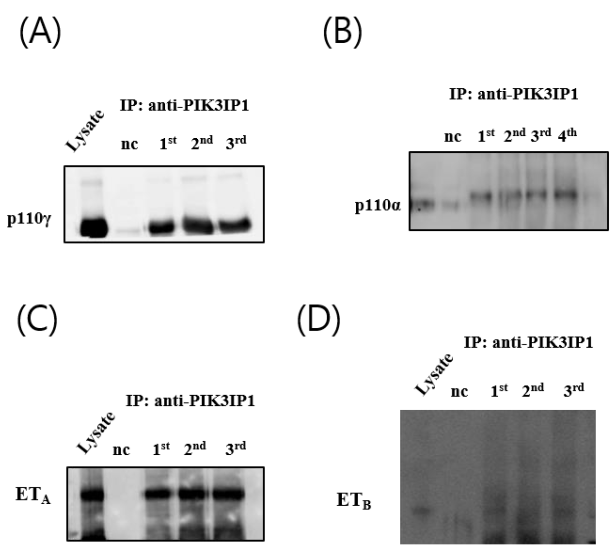 Cells 11 02162 g004 Cells 11 02162 g004