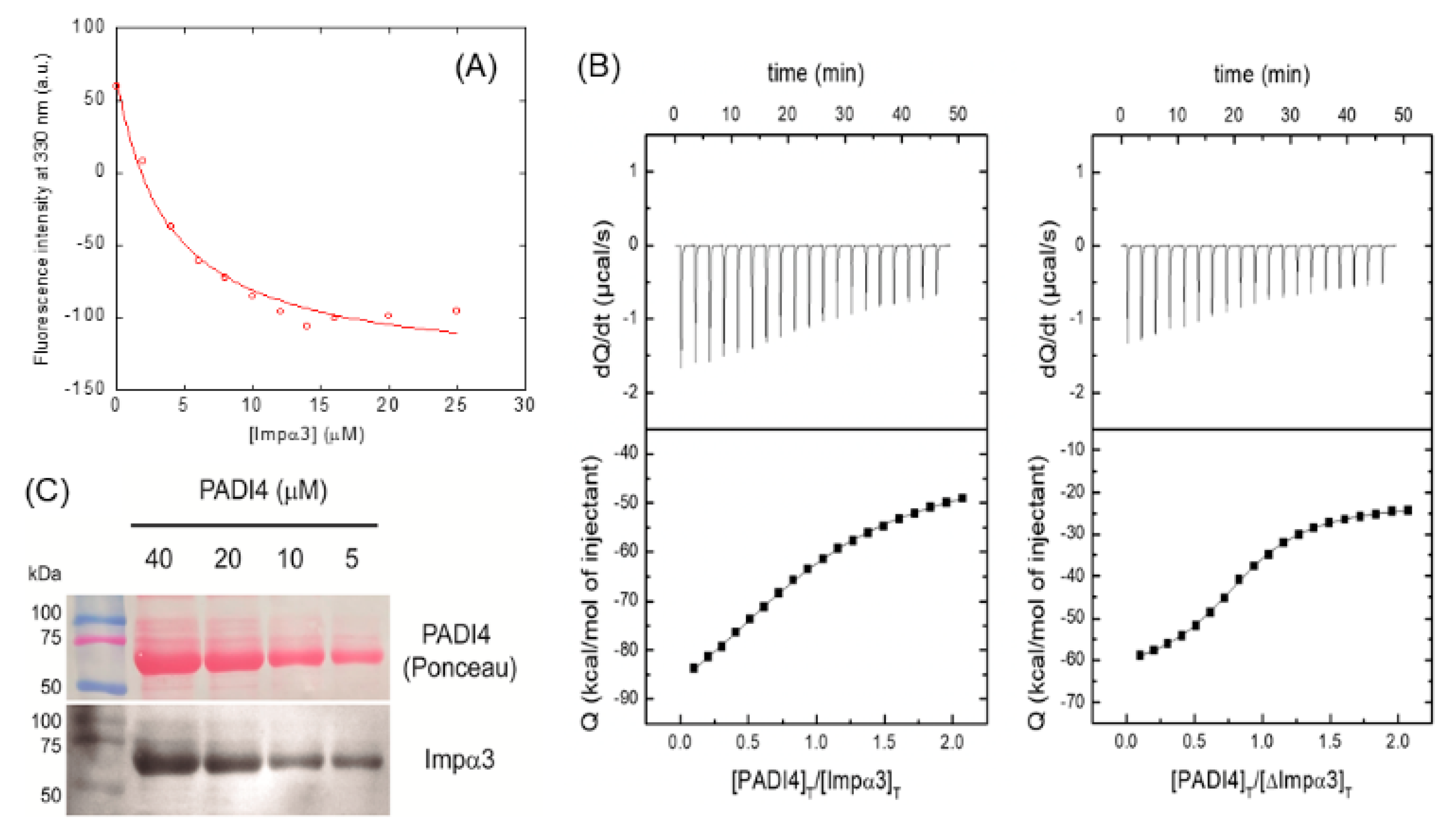 Cells 11 02166 g002 Cells 11 02166 g002