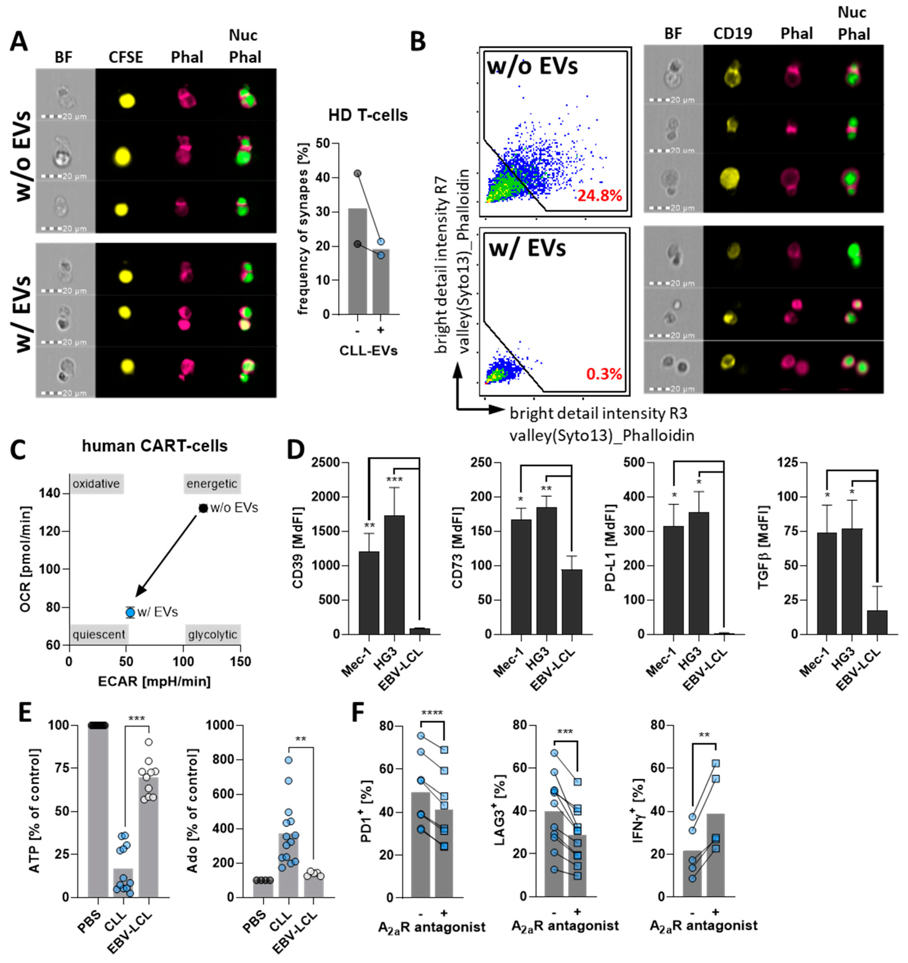 Cells 11 02176 g005a Cells 11 02176 g005a